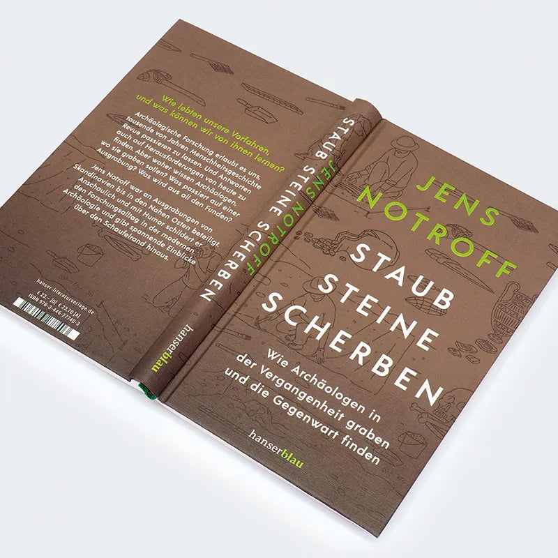 Produktansicht: Staub, Steine, Scherben (Gebundene Ausgabe)