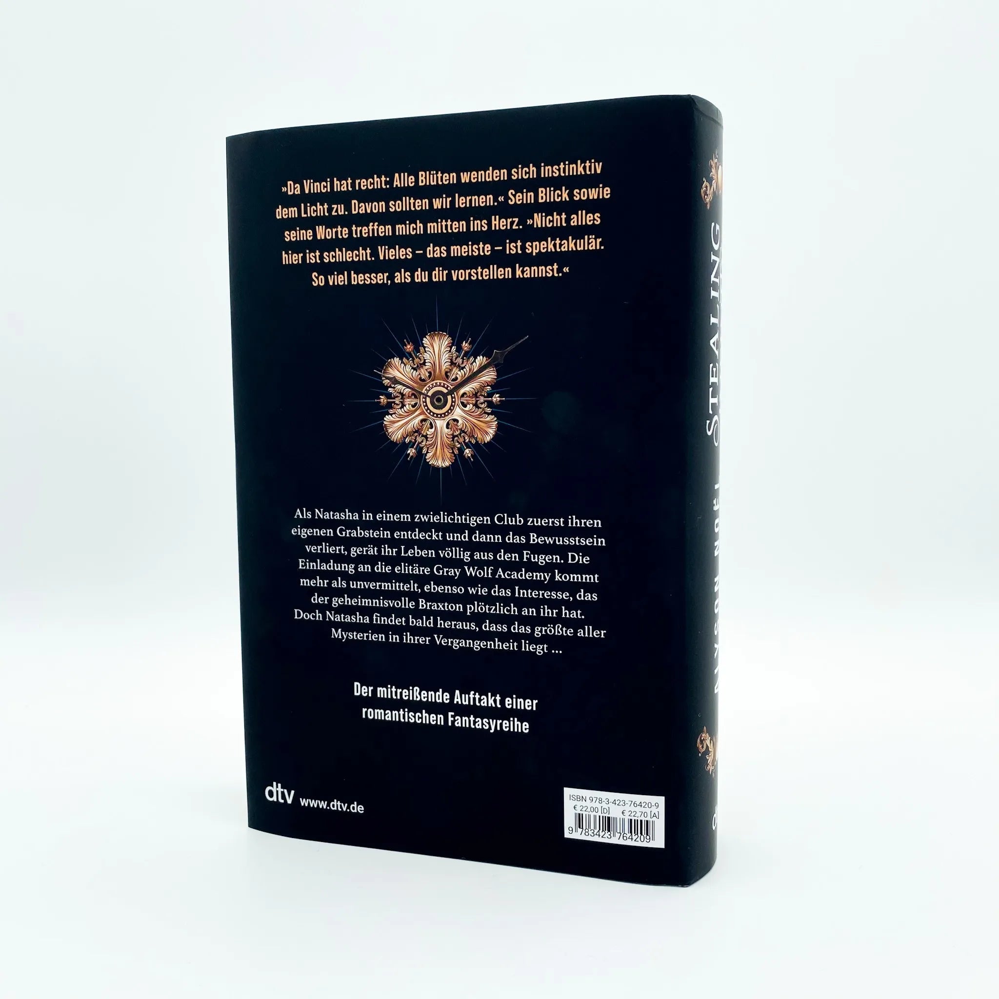 Produktansicht: Stealing Infinity (Gebundene Ausgabe)