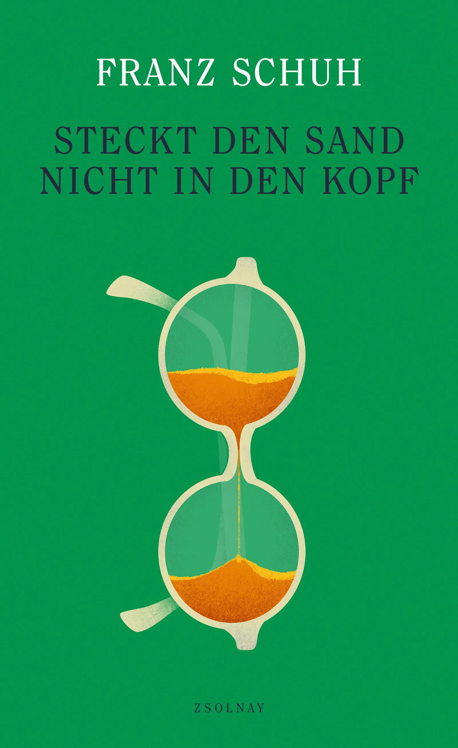 Cover: Steckt den Sand nicht in den Kopf (E-Book) von Franz Schuh