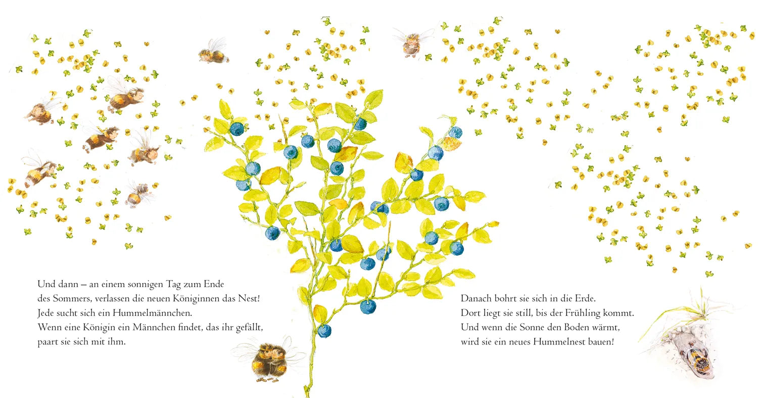 Produktansicht: Die kleine Hummel baut ihr Nest (Gebundene Ausgabe)