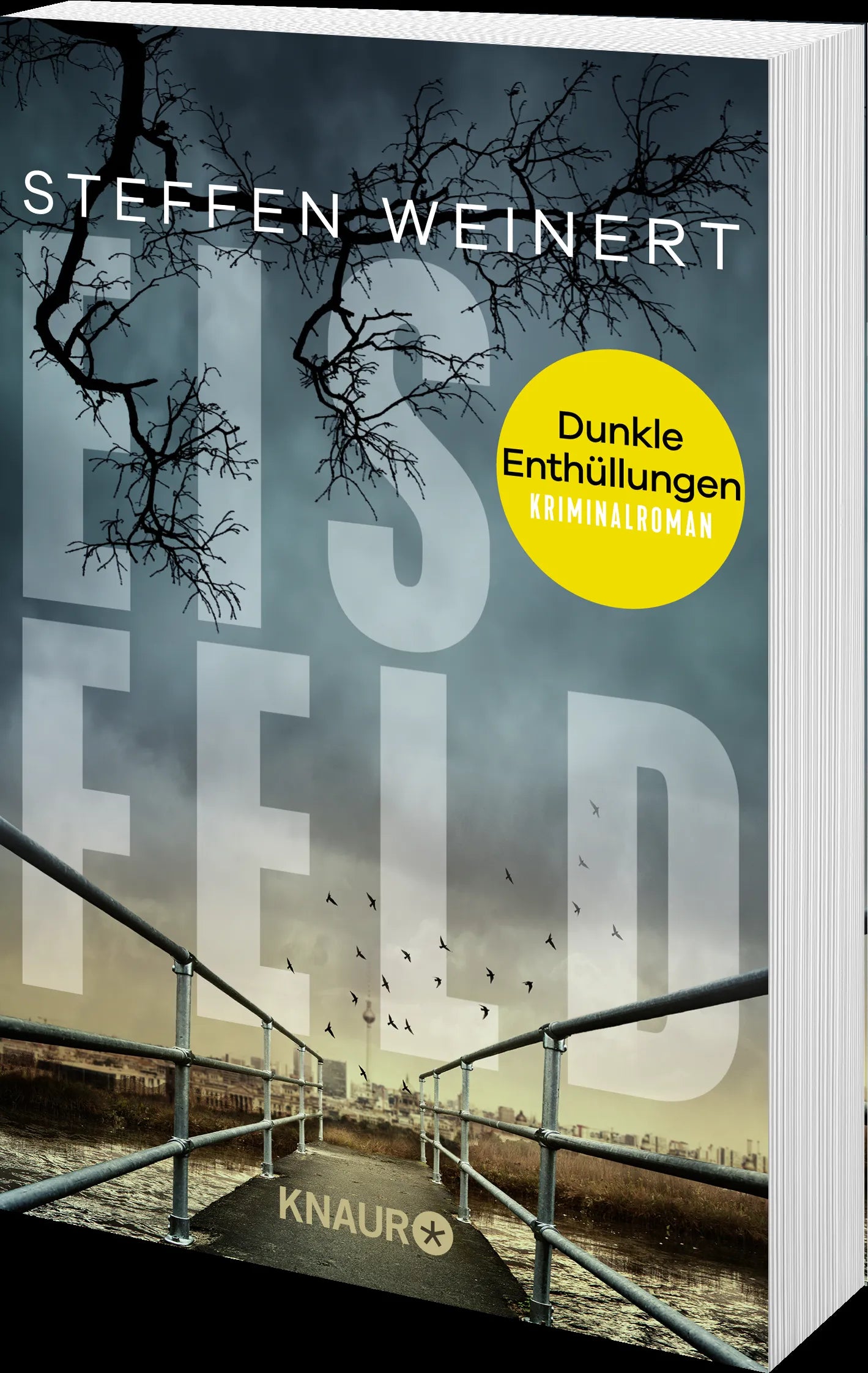 Produktansicht: Eisfeld – Dunkle Enthüllungen (Taschenbuch)