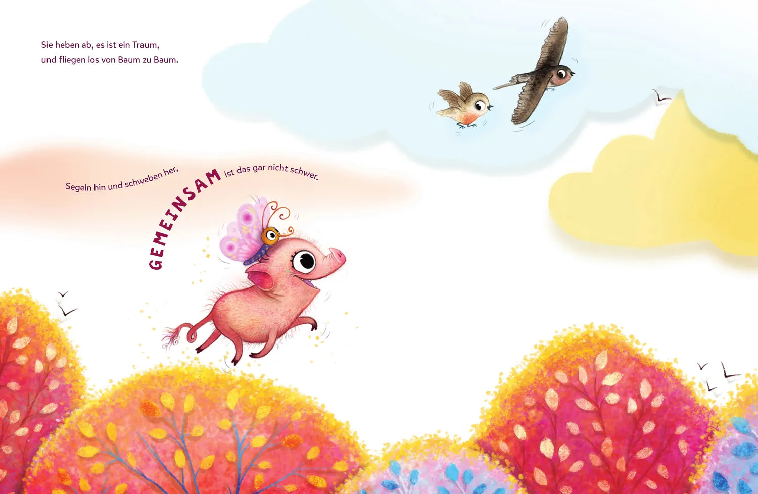 Produktansicht: Rosalein Schmetterschwein will fliegen (Gebundene Ausgabe)