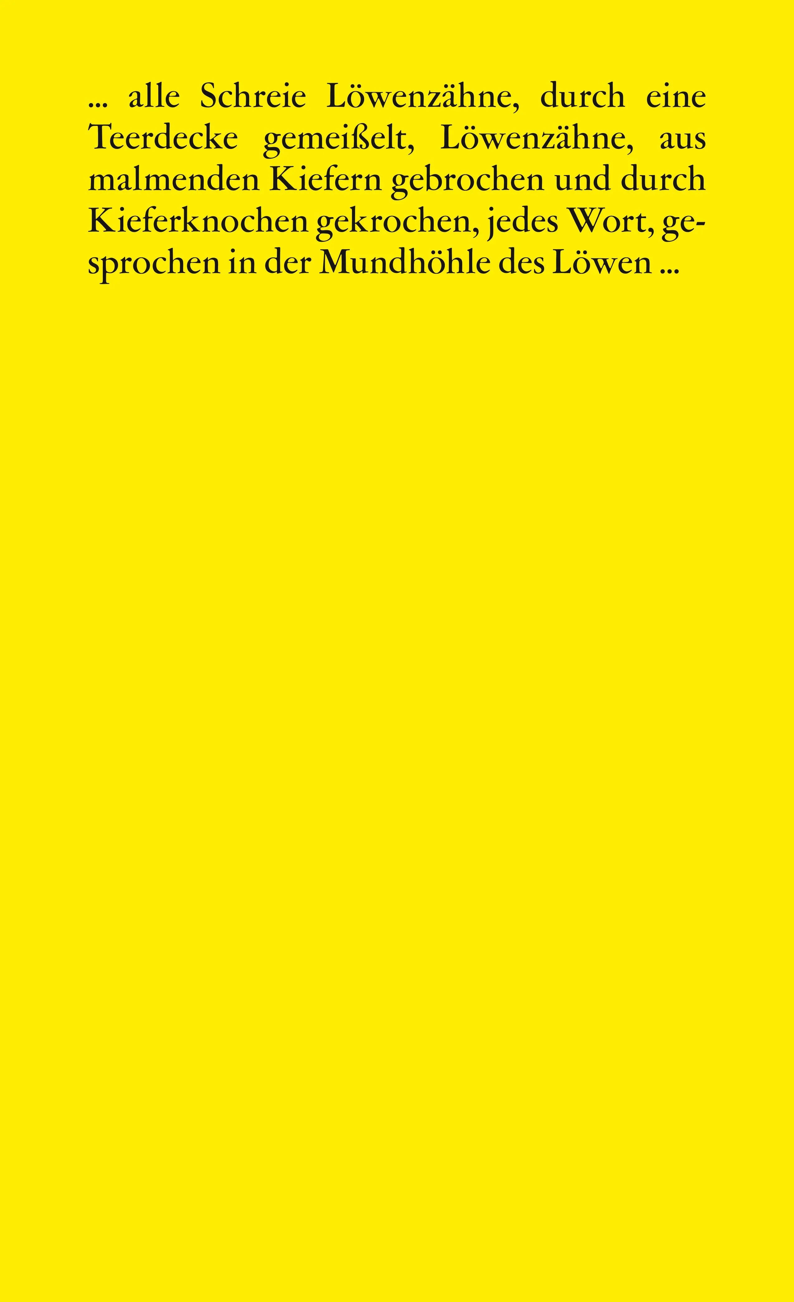 Buchrückseite von 'Steinbruch' mit Klappentext - Taschenbuch