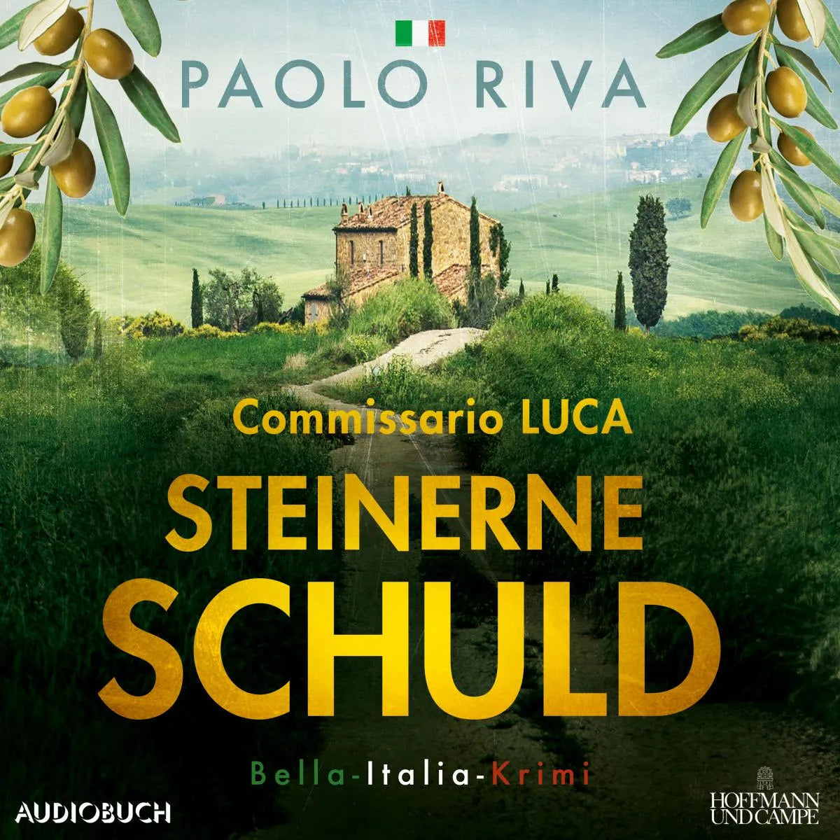 Cover: Steinerne Schuld (Hörbuch Download) von Paolo Riva