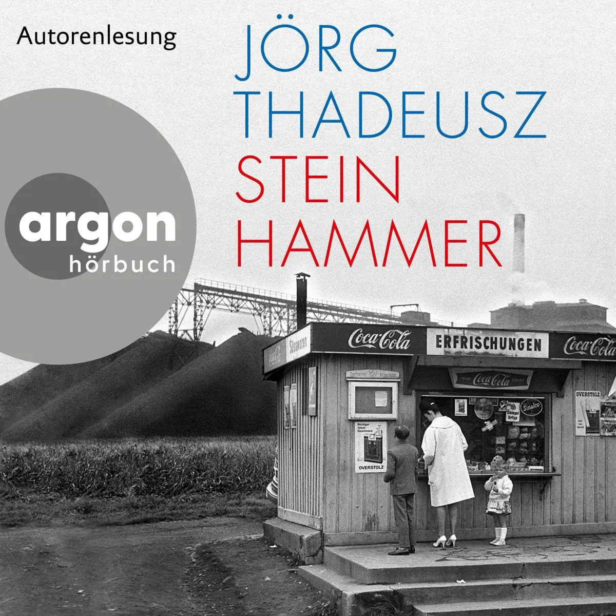 Cover: Steinhammer (Hörbuch Download) von Jörg Thadeusz
