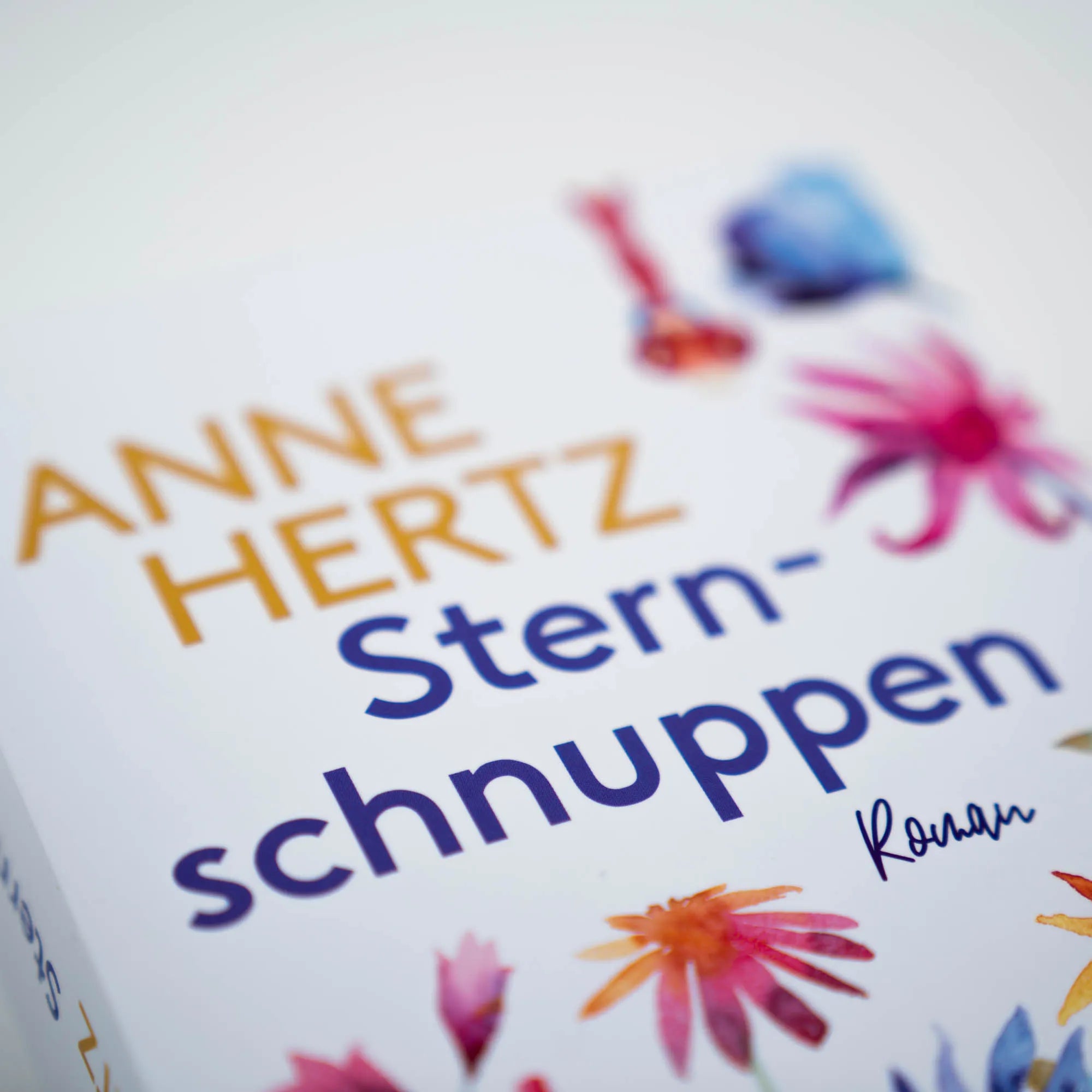 Produktansicht: Sternschnuppen (Taschenbuch)