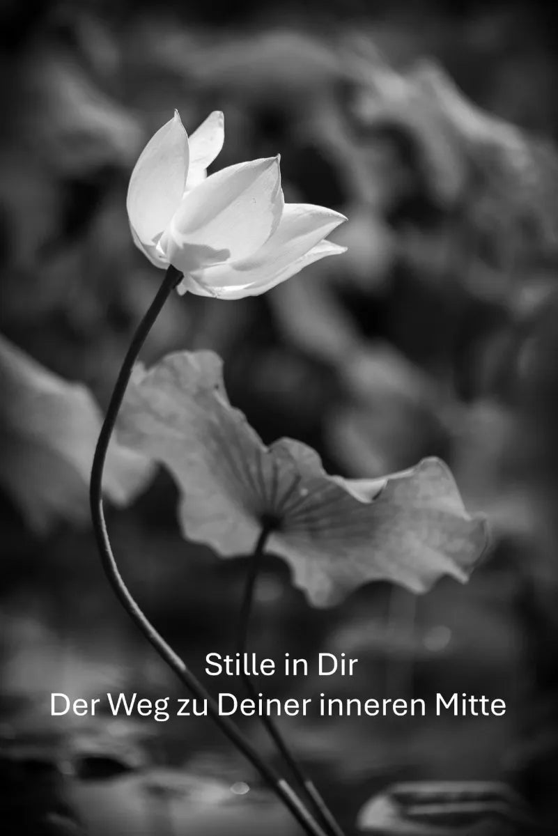 Cover: Stille in Dir (E-Book) von Jörg Schweiger