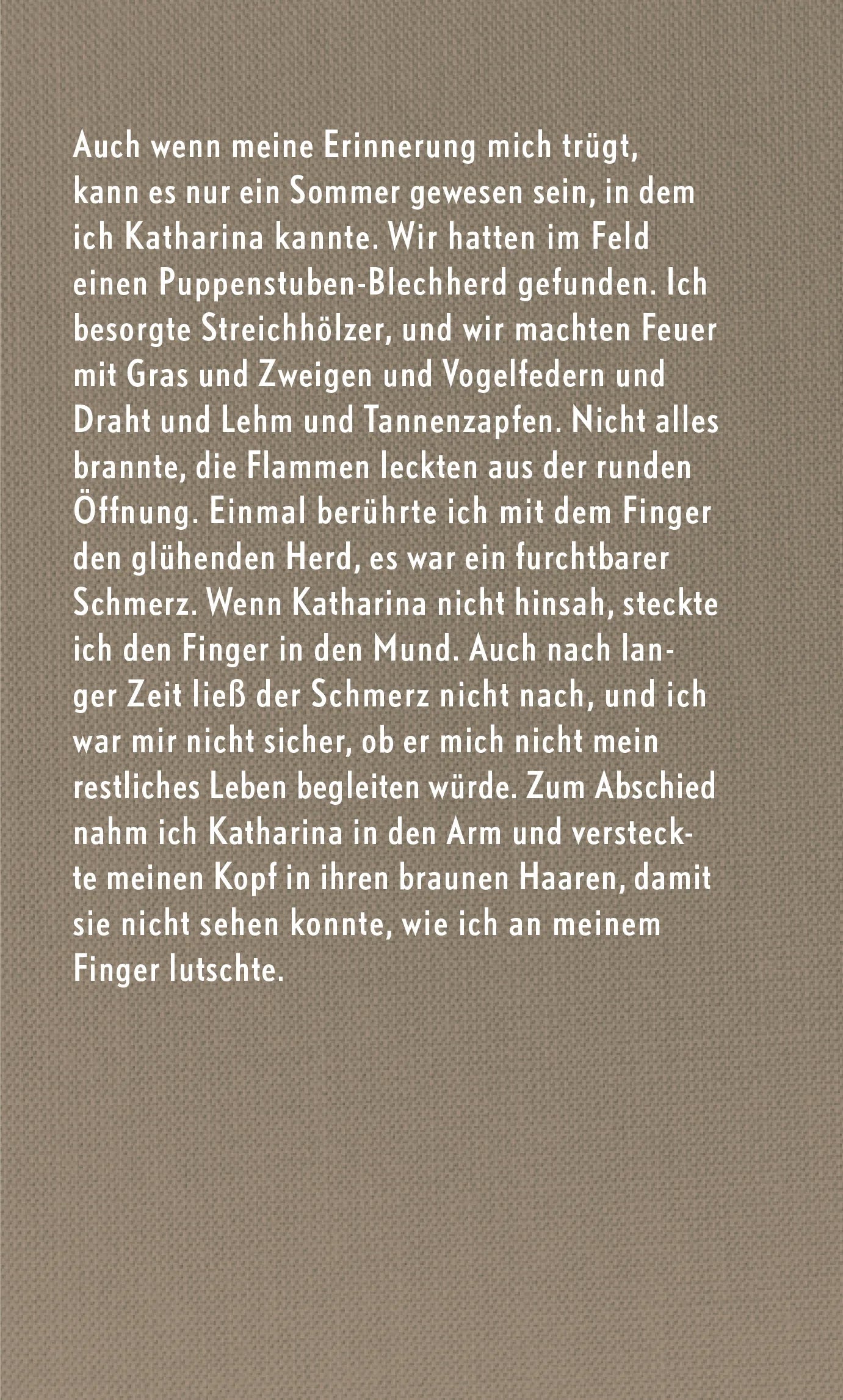 Buchrückseite von 'Stimmen' mit Klappentext - Gebundene Ausgabe