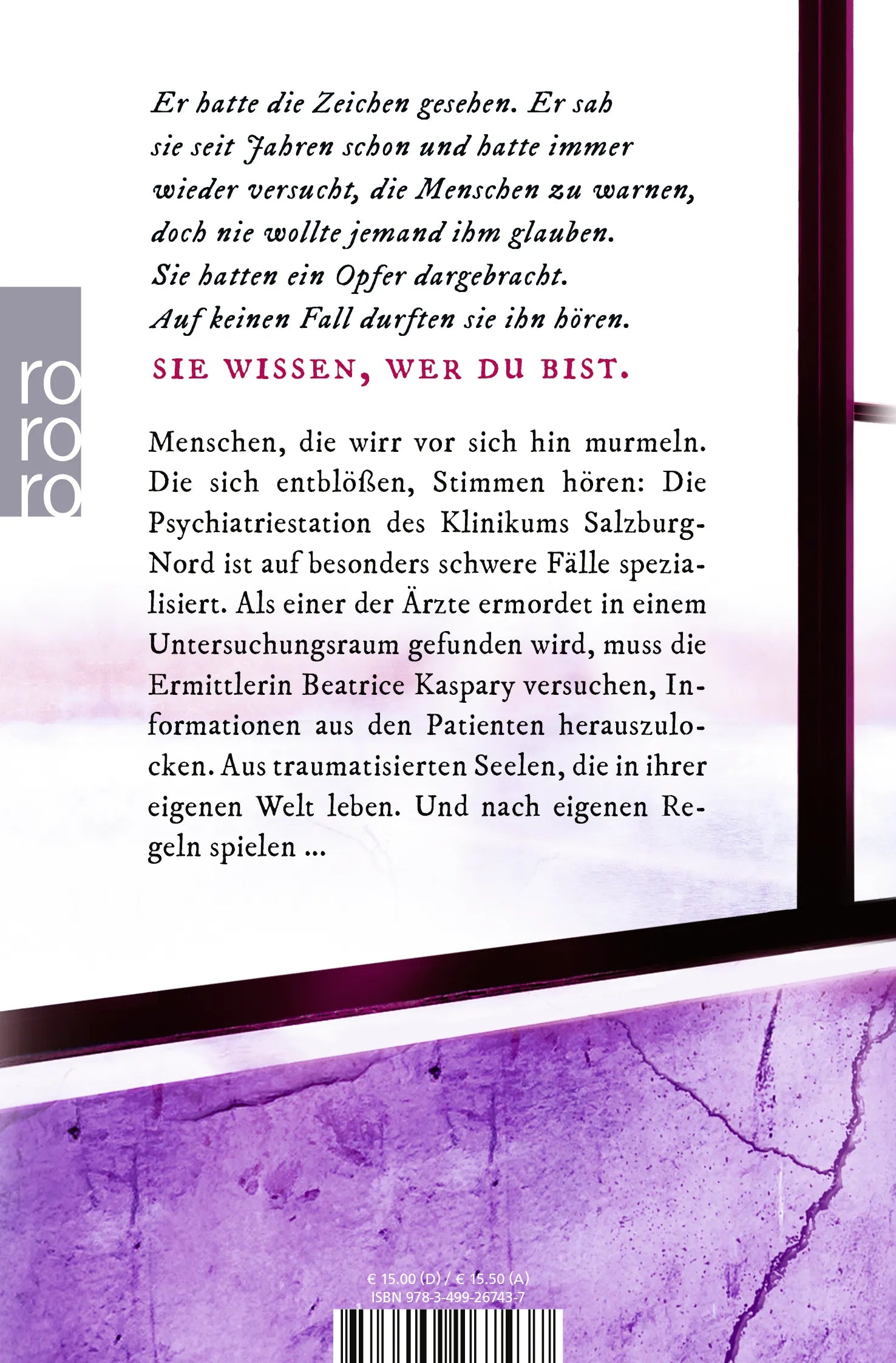 Buchrückseite von 'Stimmen' mit Klappentext - Taschenbuch