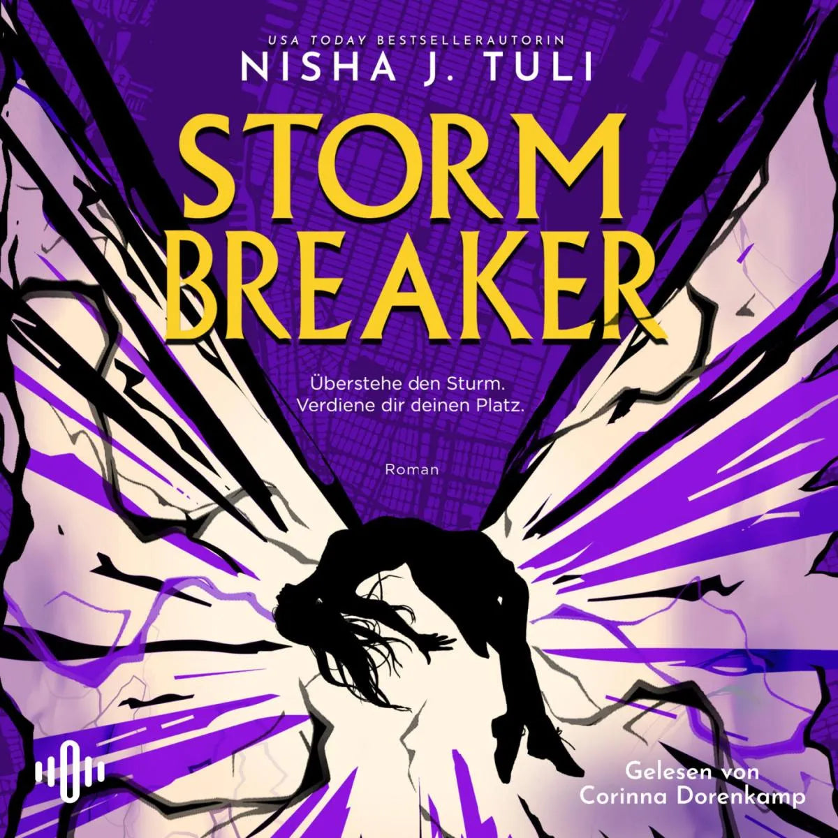 Cover: Storm Breaker (Hörbuch Download) von Nisha J. Tuli