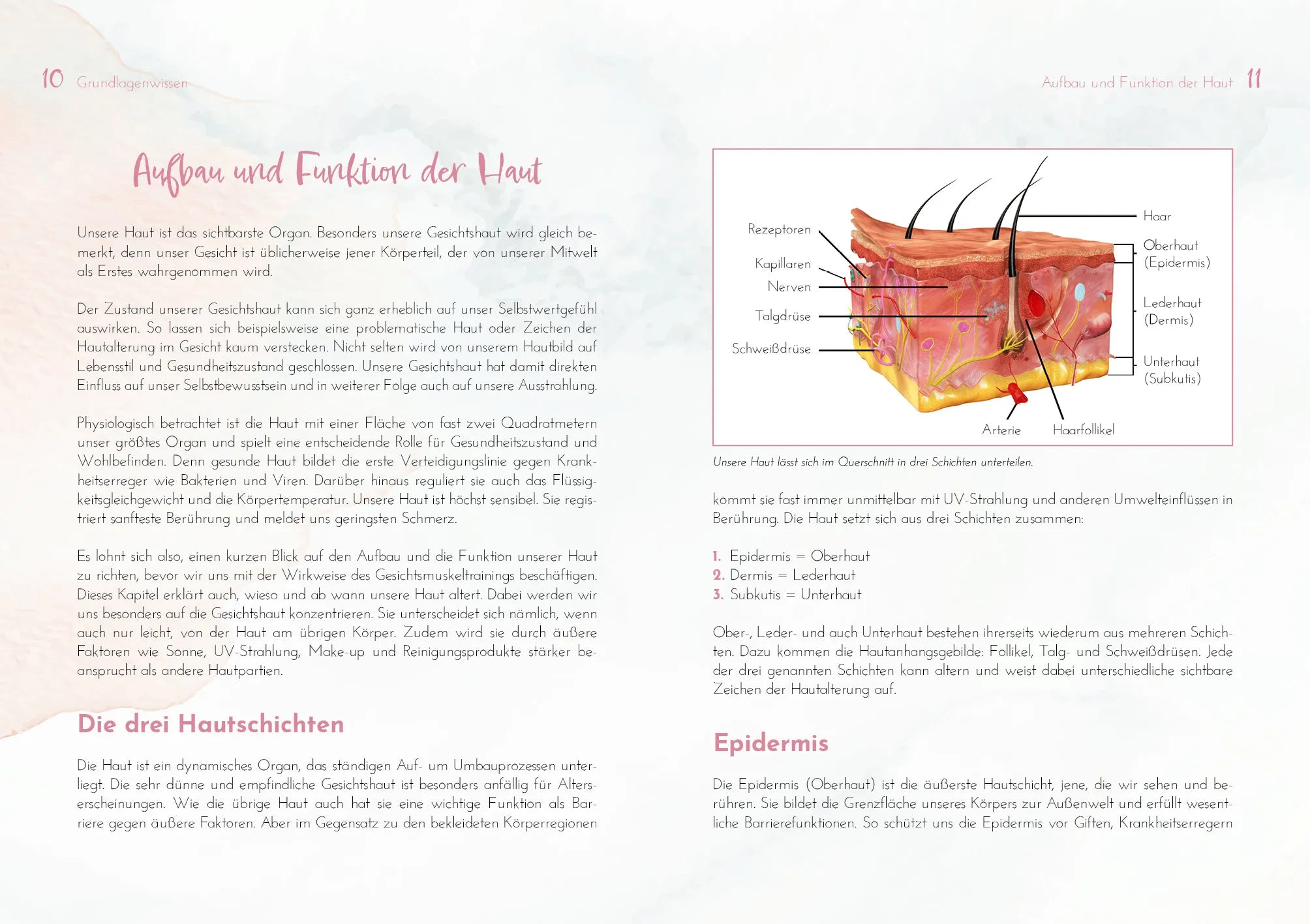 Innenansicht von 'Strahlend schön mit Natural Facelifting' - Taschenbuch