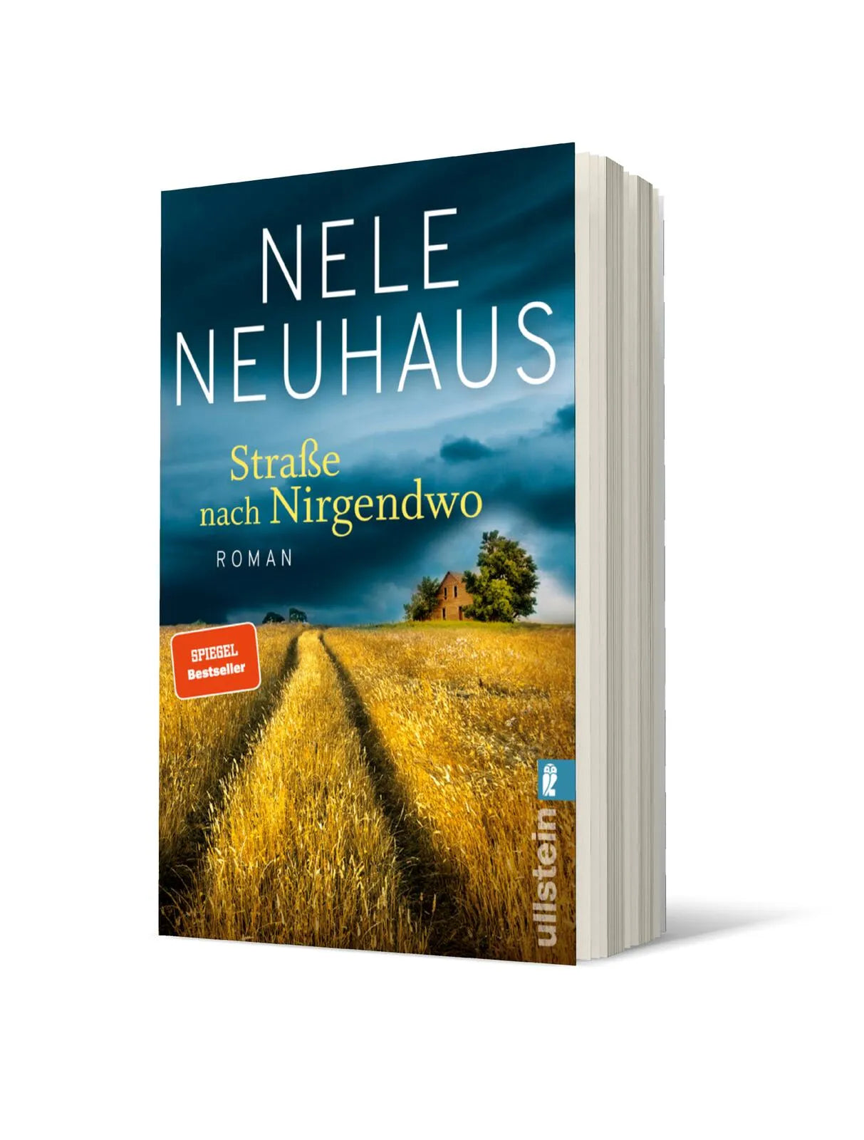 Produktansicht: Straße nach Nirgendwo (Taschenbuch)