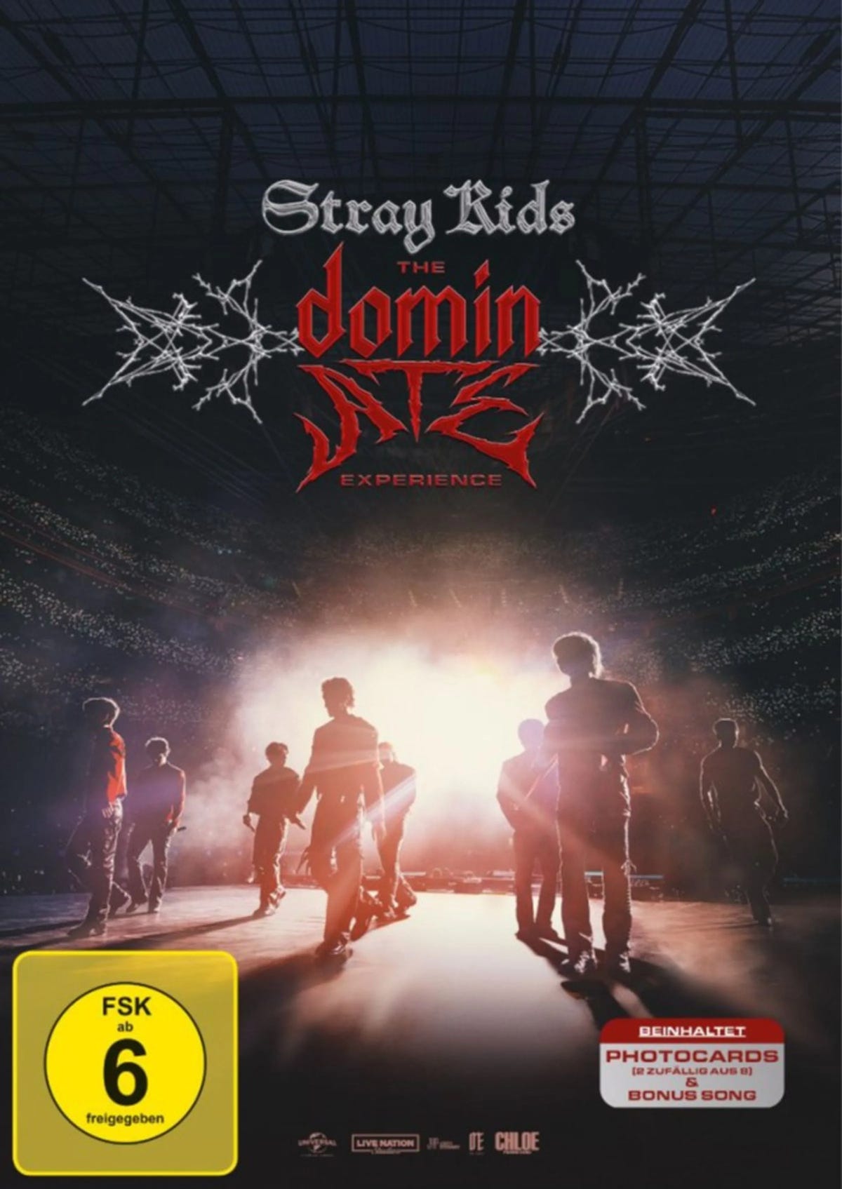 DVD-Cover: Stray Kids: The Dominate Experience. Regie: Paul Dugdale