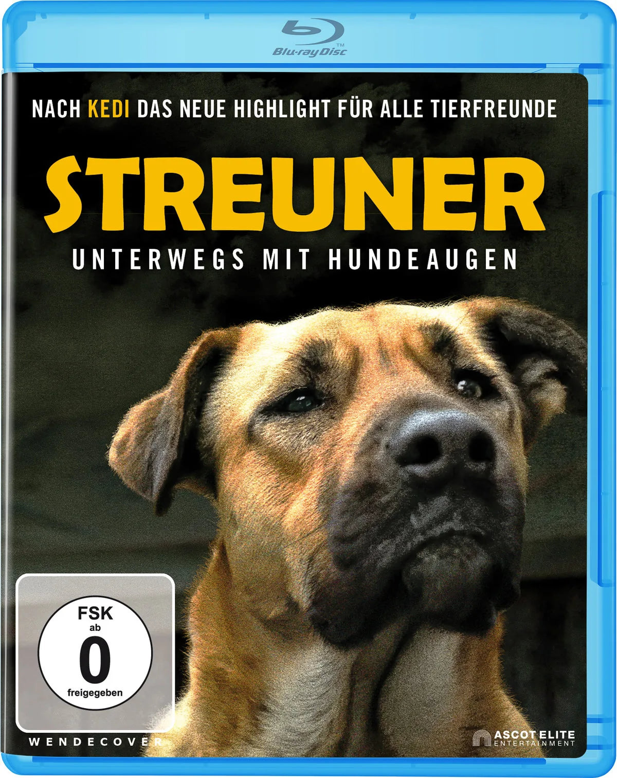 Streuner - Unterwegs mit Hundeaugen - Blu-ray Disc