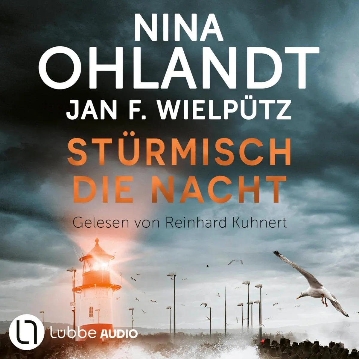 Cover: Stürmisch die Nacht (Hörbuch Download) von Nina Ohlandt