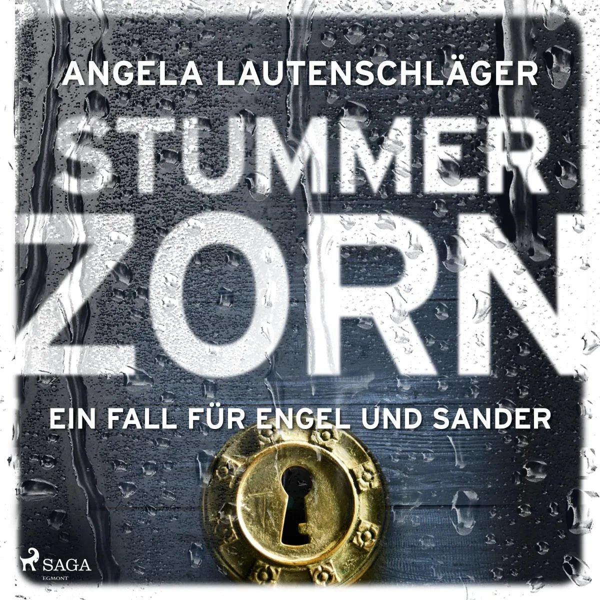 Cover: Stummer Zorn (Hörbuch Download) von Angela Lautenschläger