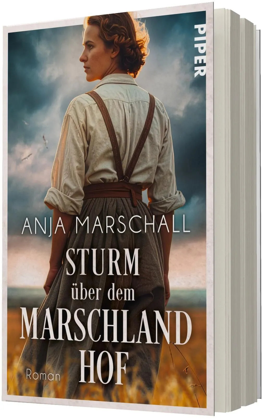Detailansicht: Sturm über dem Marschlandhof (Taschenbuch)