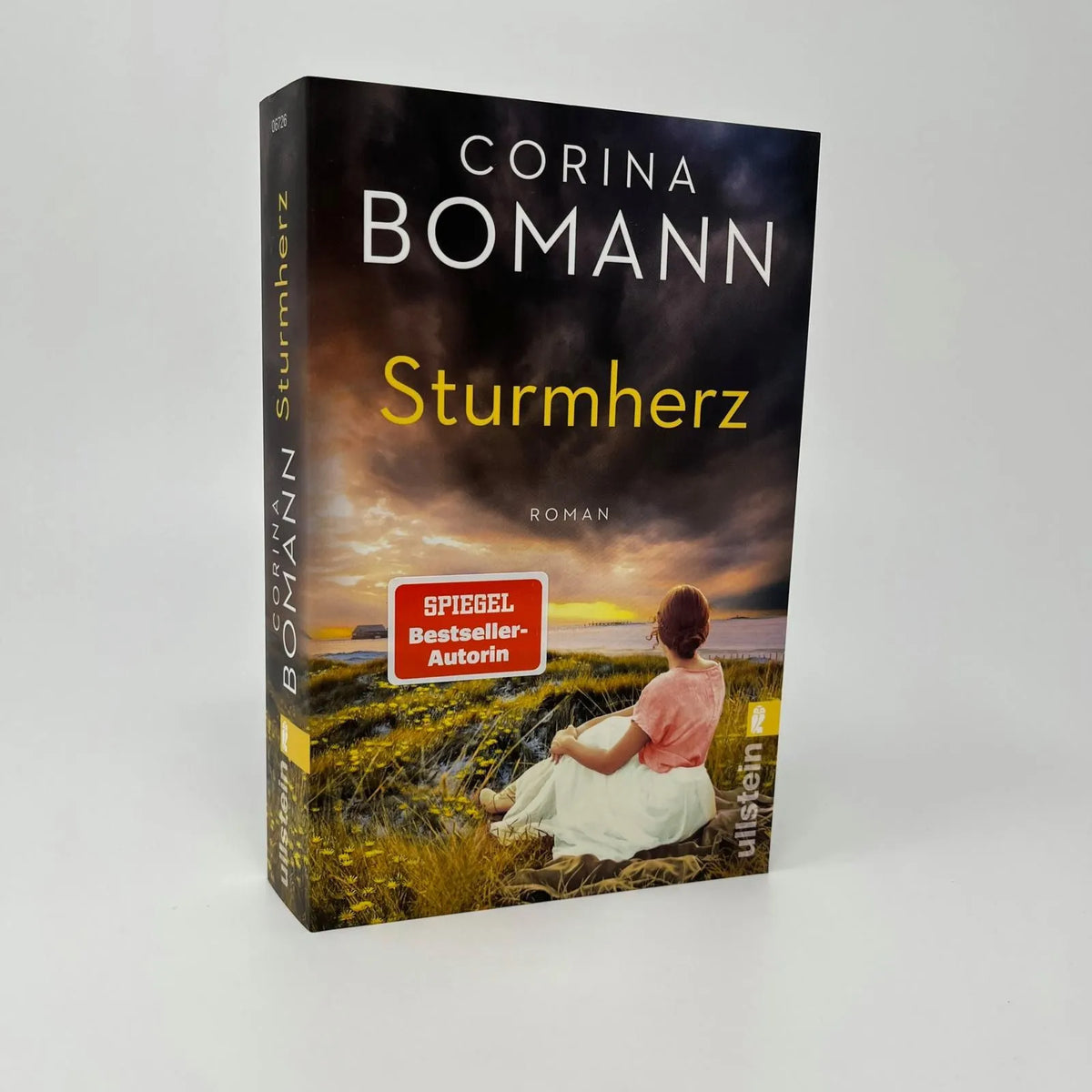 Detailansicht: Sturmherz (Taschenbuch)
