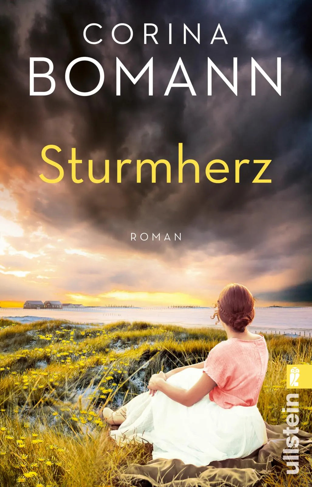Produktansicht: Sturmherz (Taschenbuch)