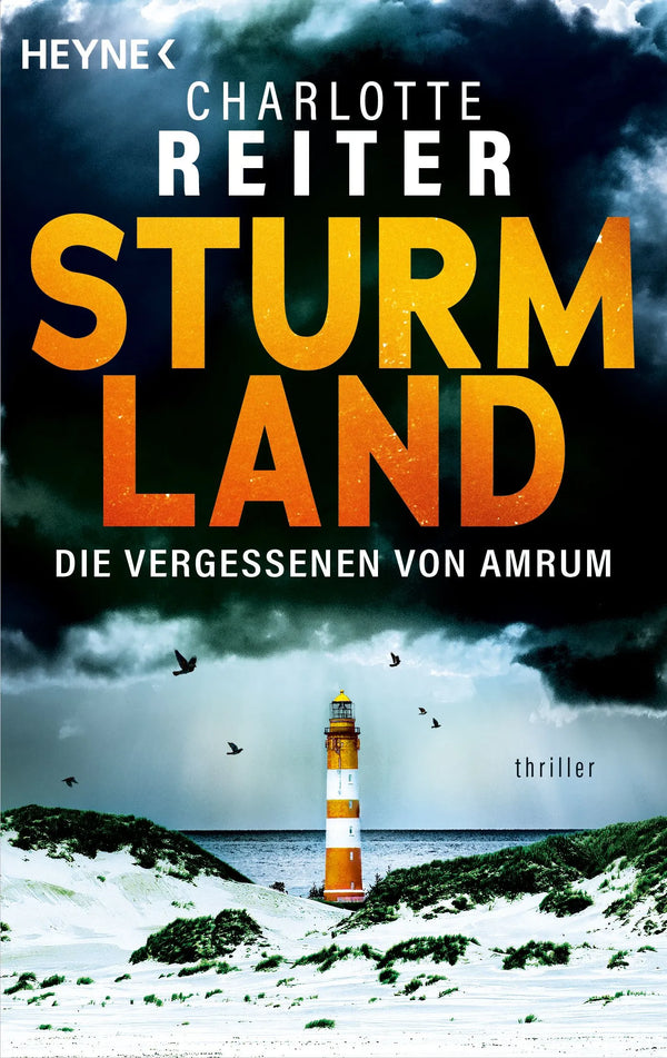 Sturmland. Die Vergessenen von Amrum