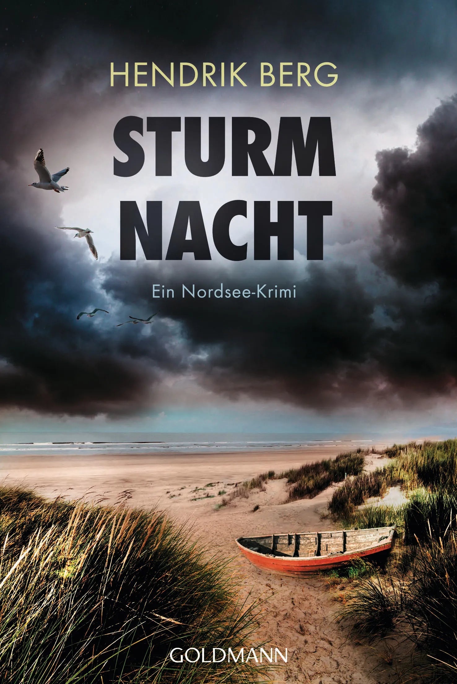 Cover: Sturmnacht (E-Book) von Hendrik Berg