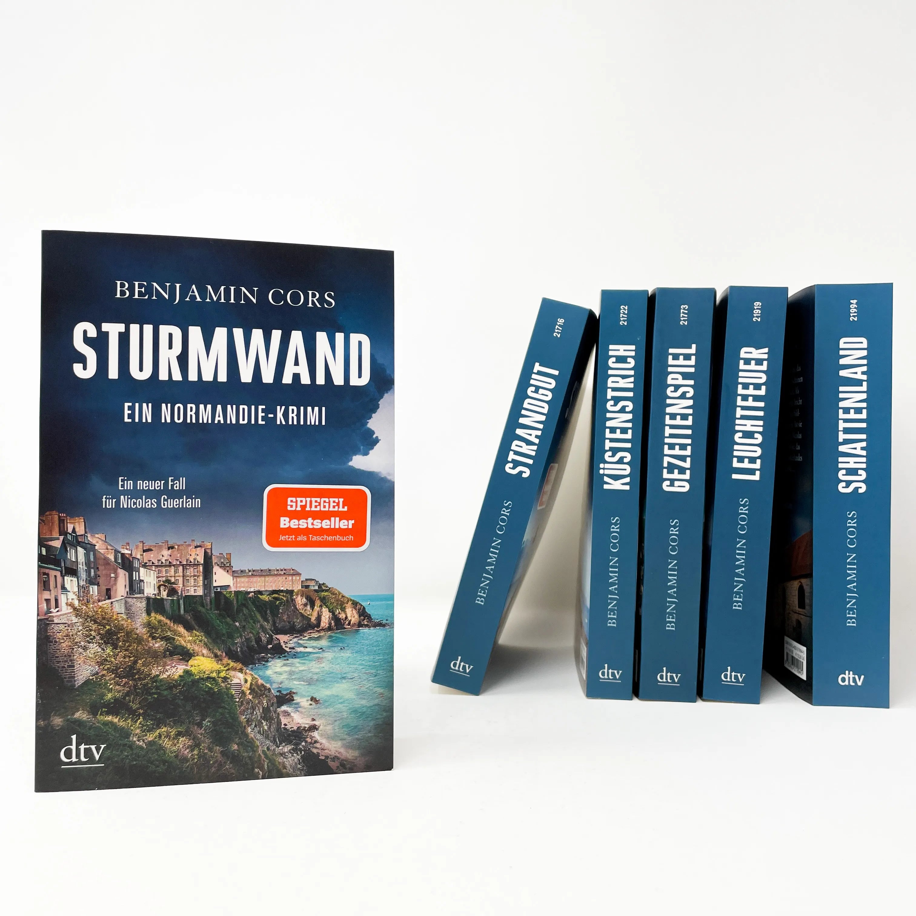 Produktansicht: Sturmwand (Taschenbuch)
