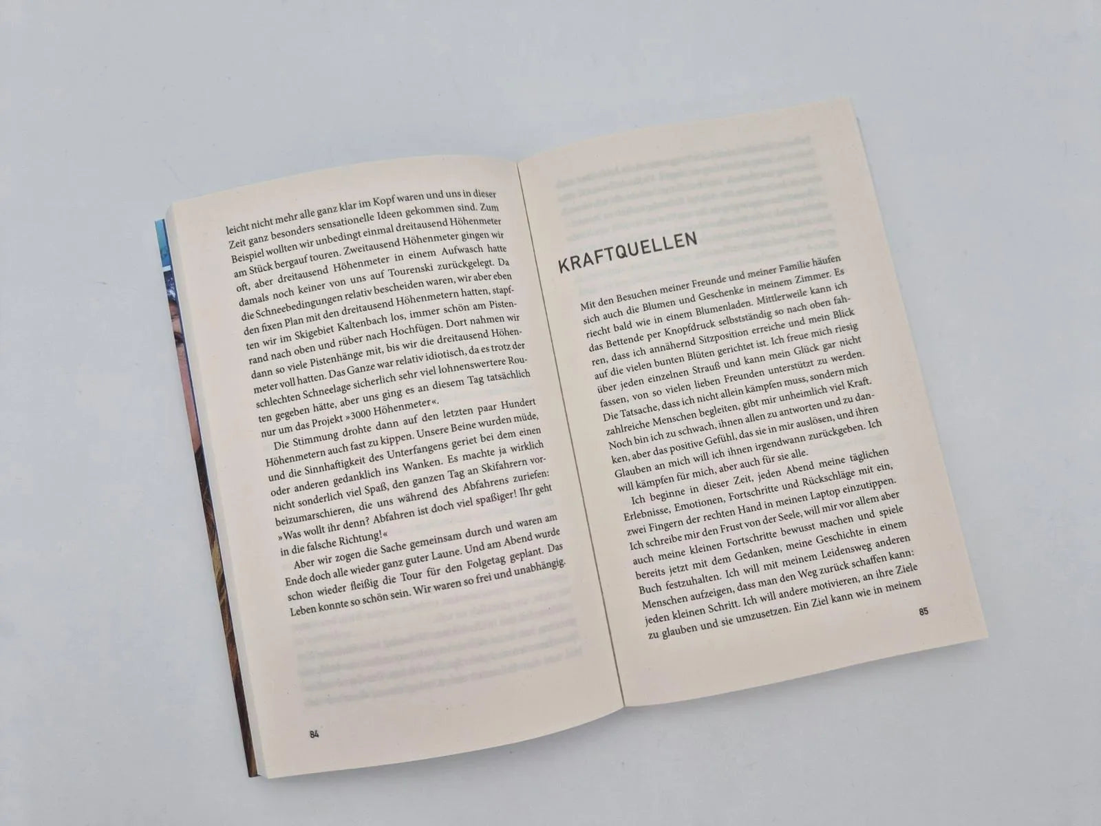 Detailansicht: Sturz in die Tiefe (Taschenbuch)