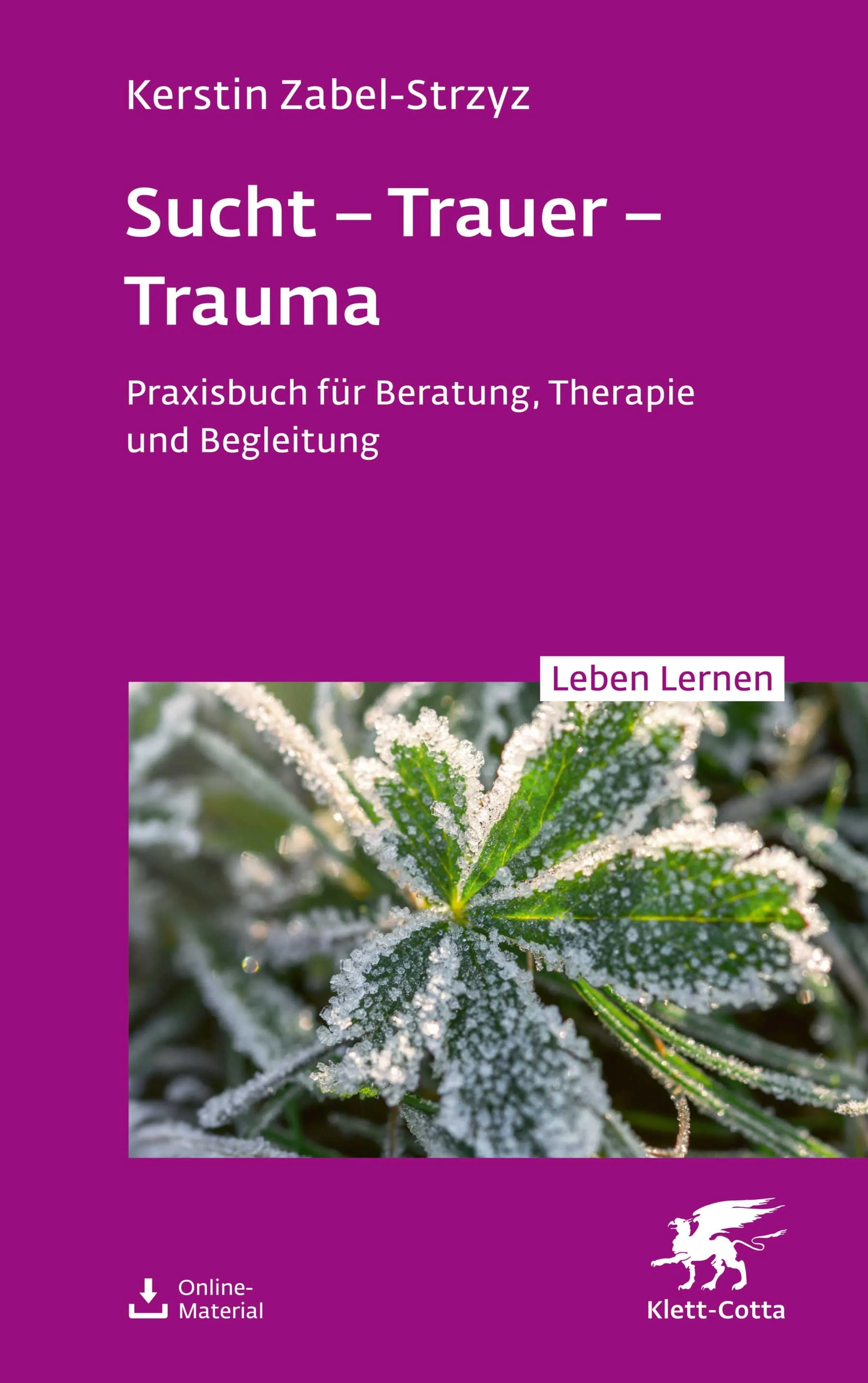 Cover: Sucht – Trauer – Trauma (E-Book) von Kerstin Zabel-Strzyz