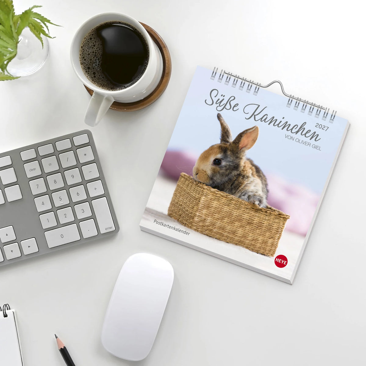 Süße Kaninchen Postkartenkalender 2027 – Ansicht
