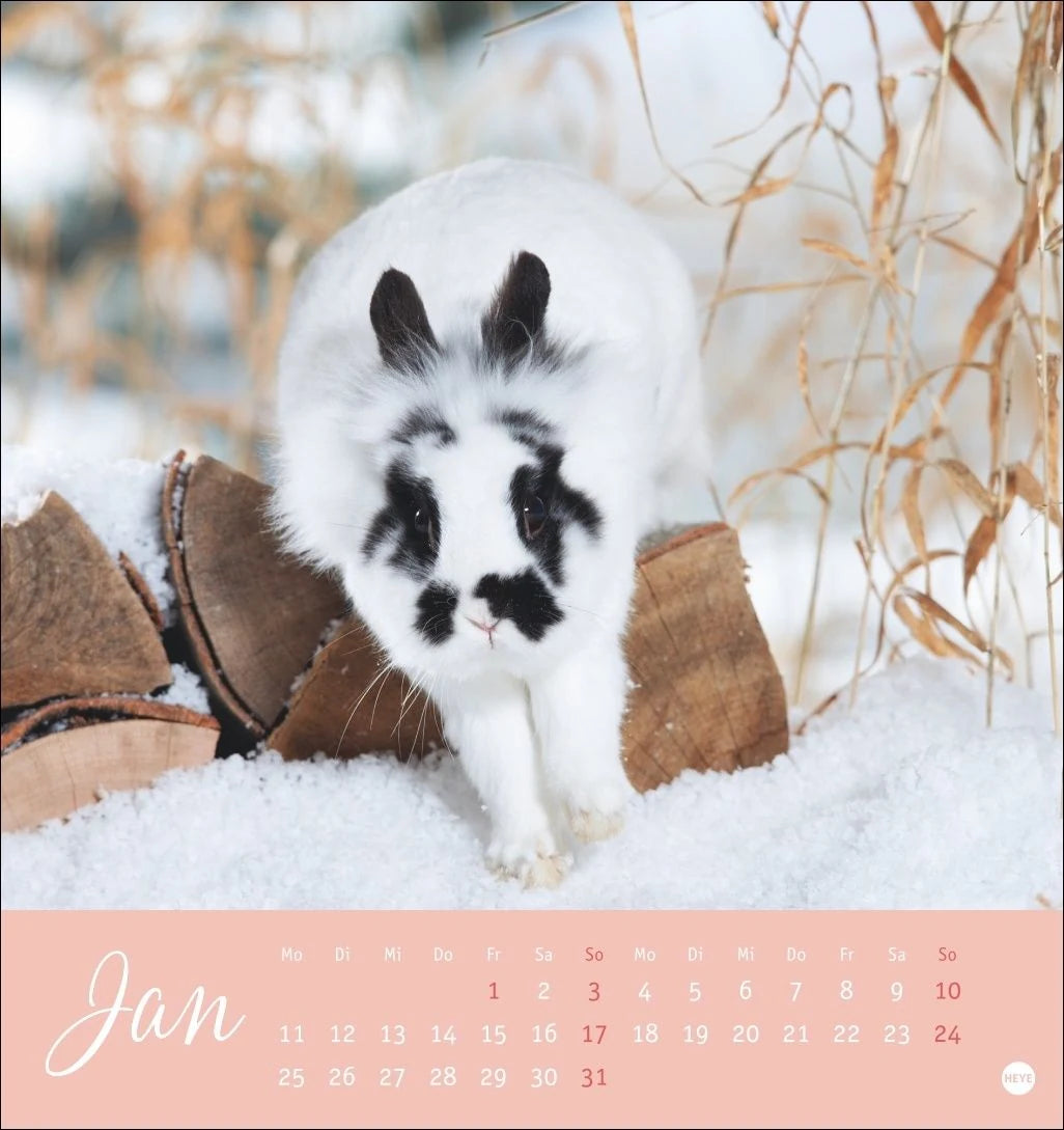 Süße Kaninchen Postkartenkalender 2027 – Ansicht