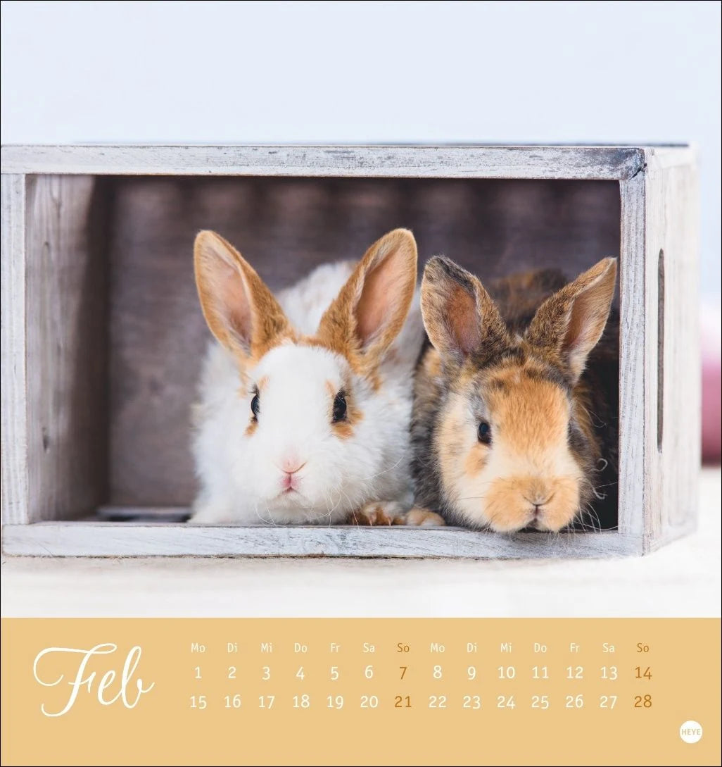 Süße Kaninchen Postkartenkalender 2027 – Ansicht