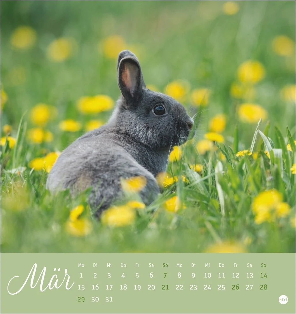 Süße Kaninchen Postkartenkalender 2027 – Ansicht