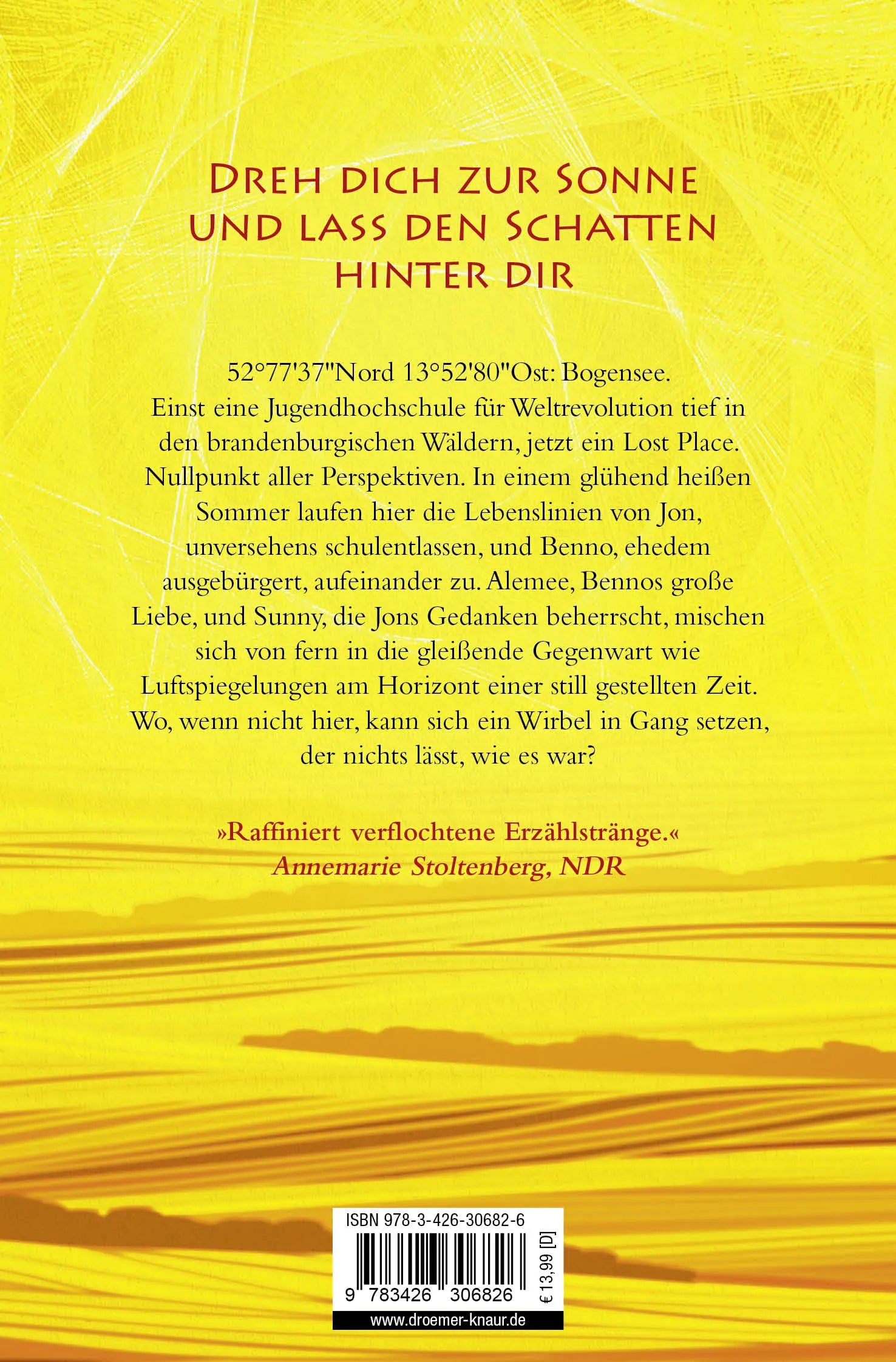 Buchrückseite von 'Sunny' mit Klappentext - Taschenbuch