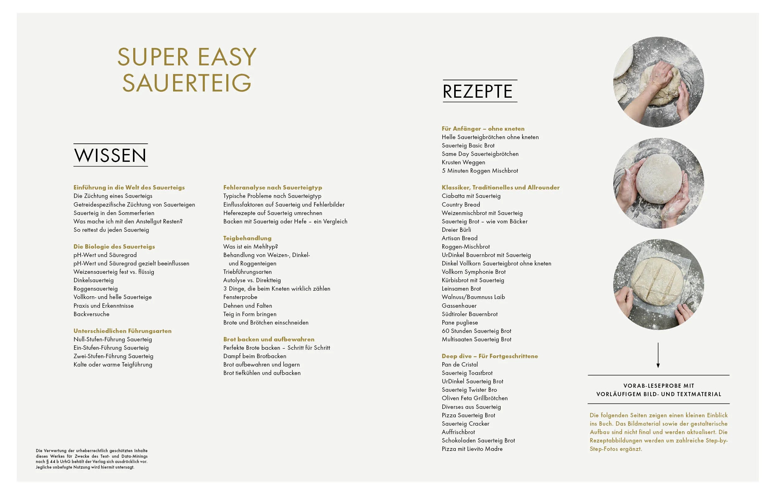 Detailansicht: Super Easy Sauerteig (Hardcover)