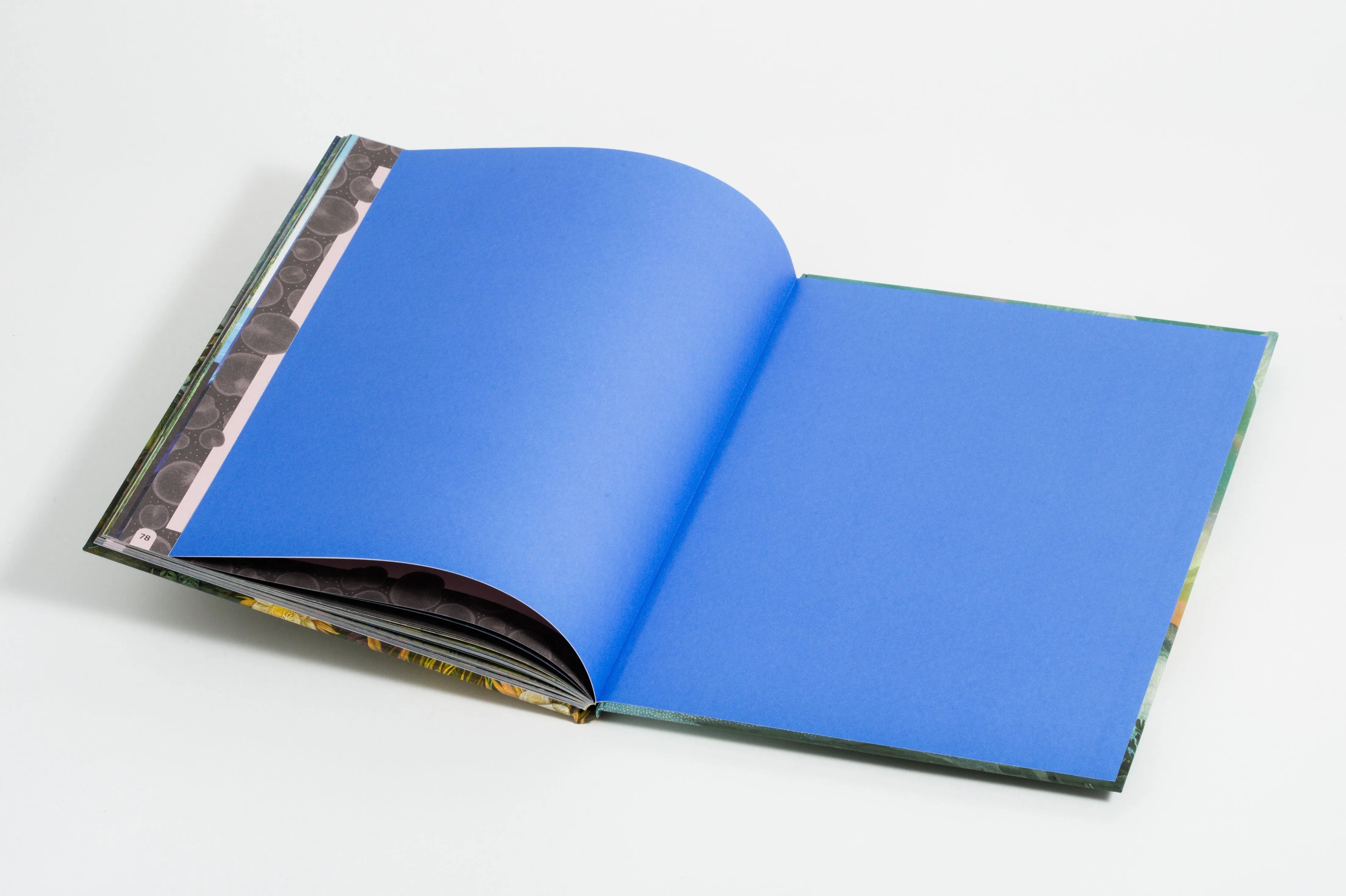 Detailansicht: Supermond und Kugelblitz (Hardcover)