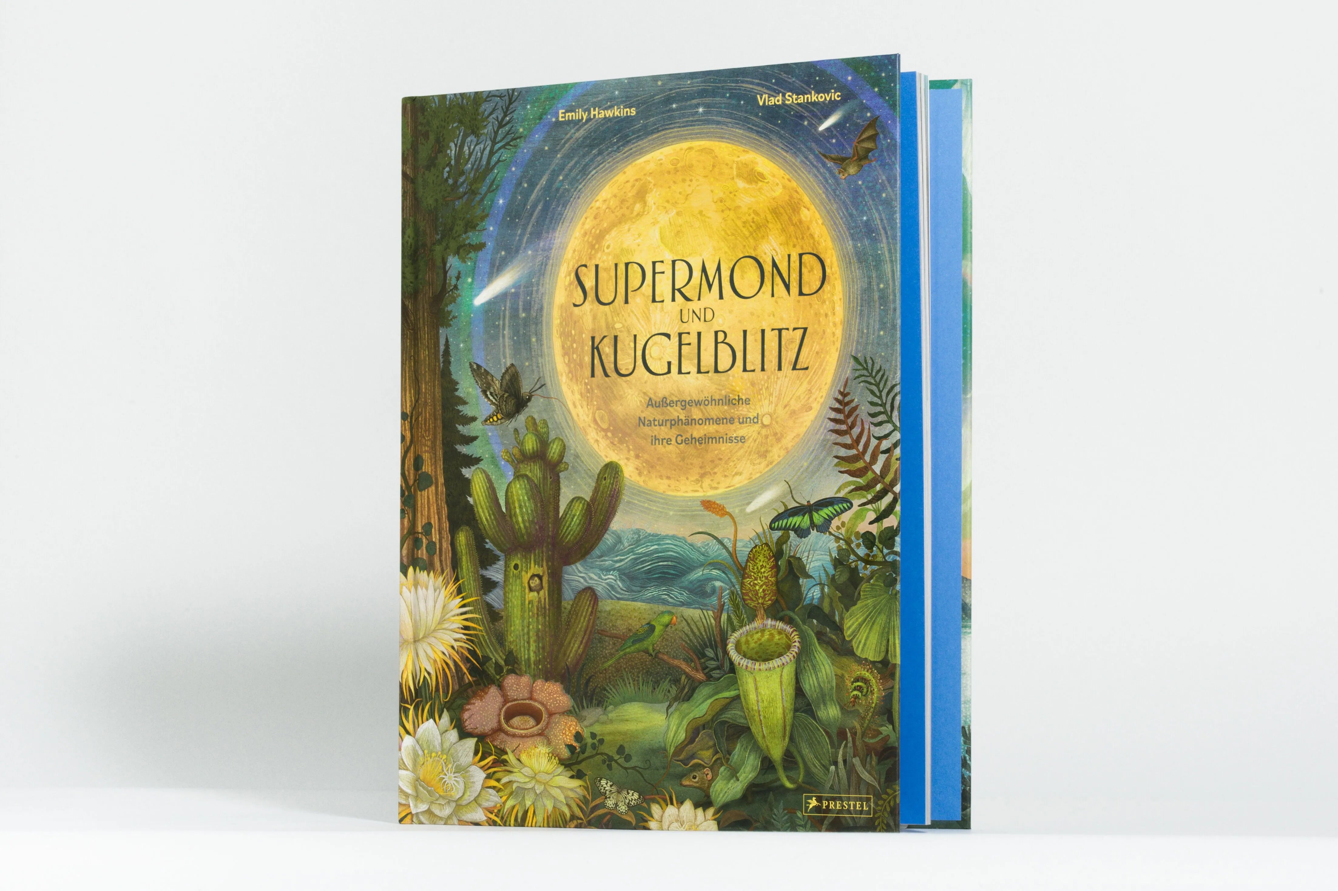 Detailansicht: Supermond und Kugelblitz (Hardcover)