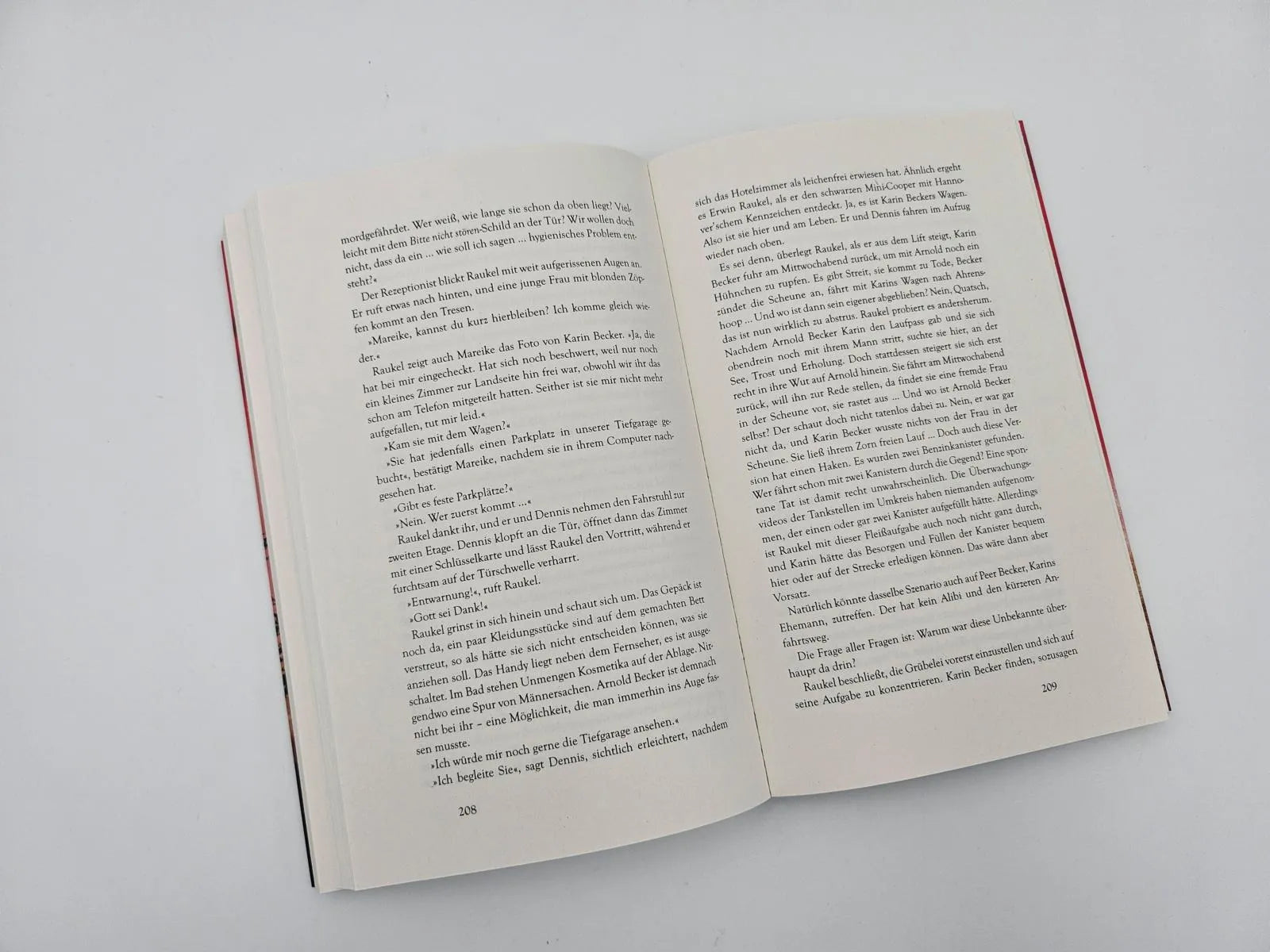 Produktansicht: Deine Welt wird brennen (Paperback)