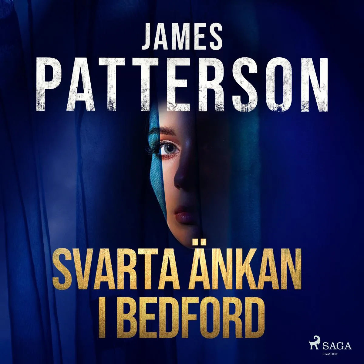 Cover: Svarta änkan i Bedford (Hörbuch Download) von James Patterson
