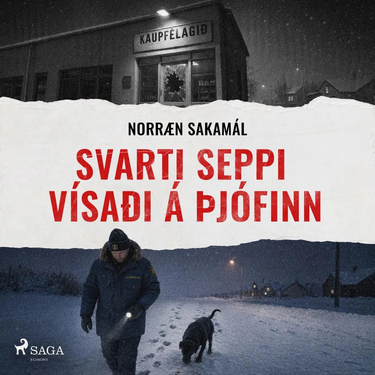 Cover: Svarti seppi vísaði á þjófinn (Hörbuch Download) von Ýmsir
