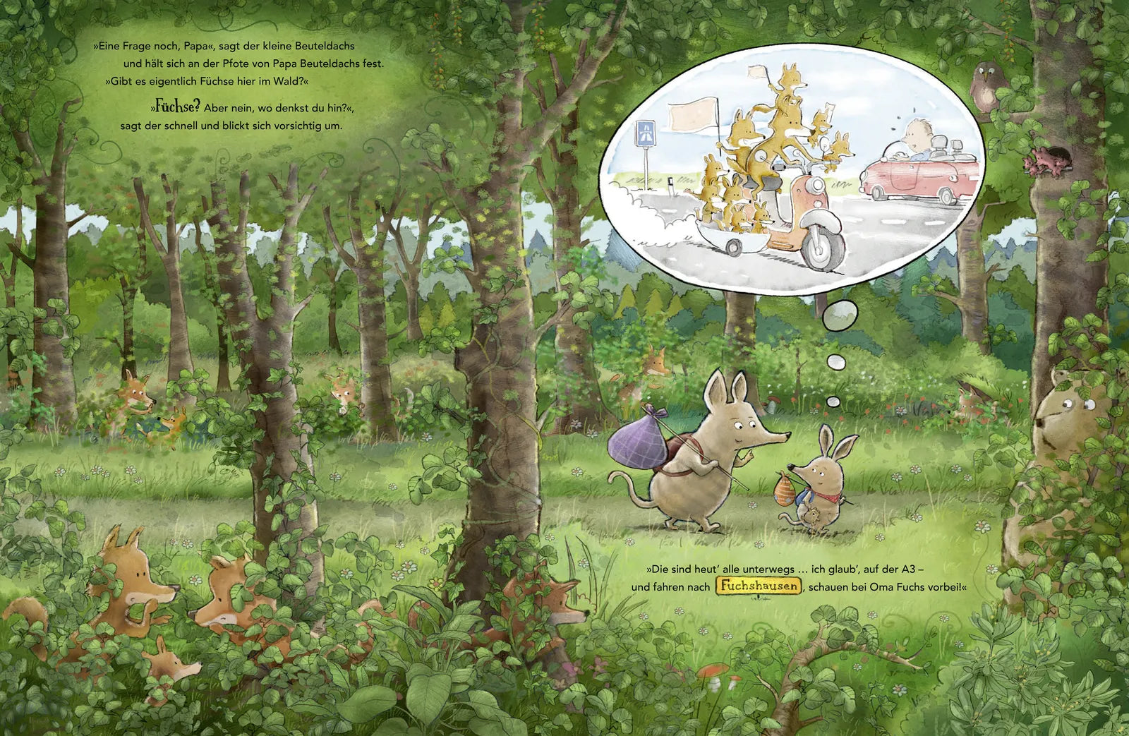 Produktansicht: Der kleine Beuteldachs (Gebundene Ausgabe)