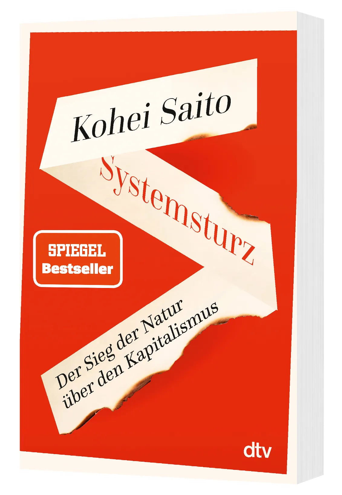 Detailansicht: Systemsturz (Taschenbuch)