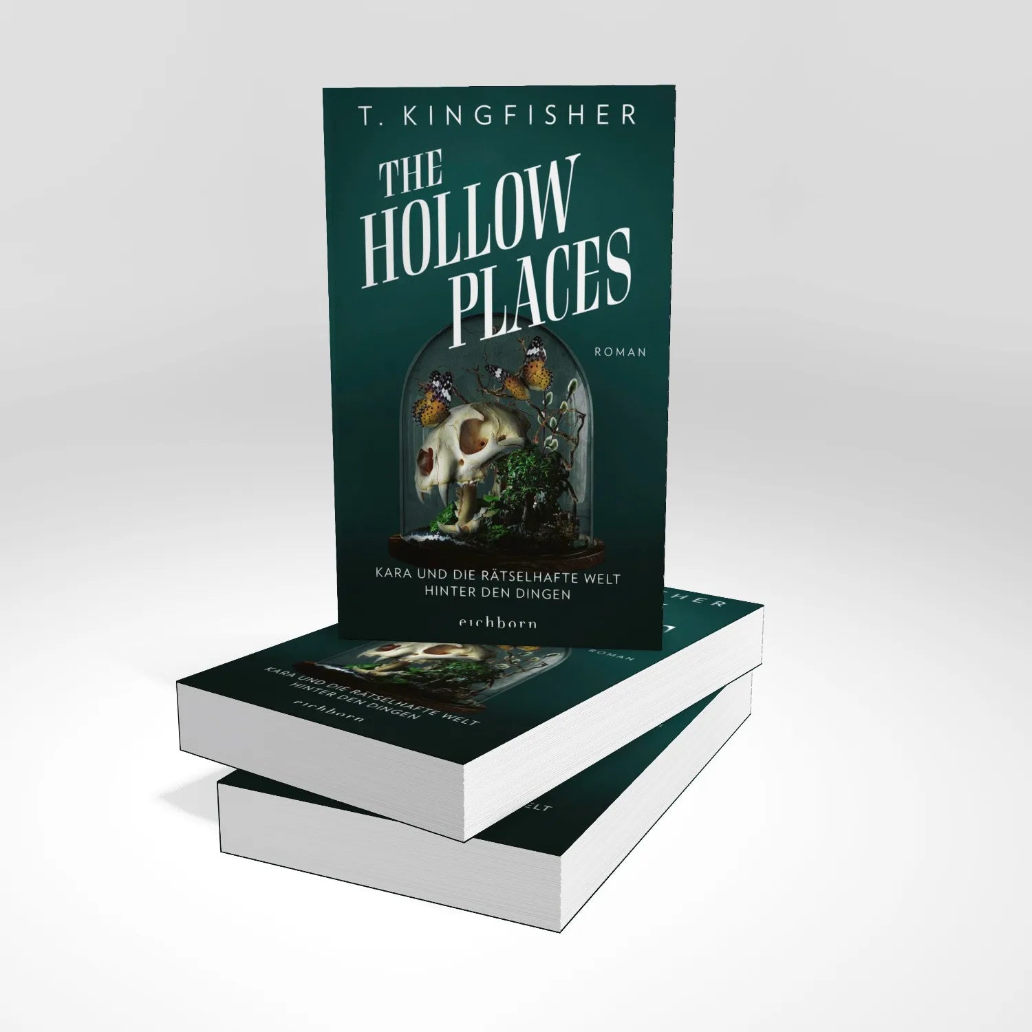 Produktansicht: The Hollow Places (Paperback)