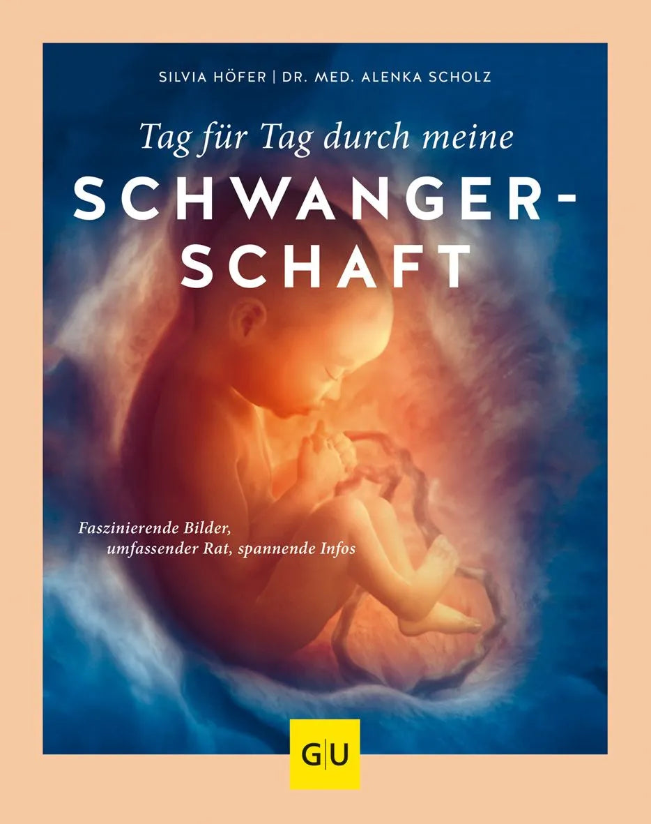 Cover: Tag für Tag durch meine Schwangerschaft (Hardcover) von Alenka Scholz