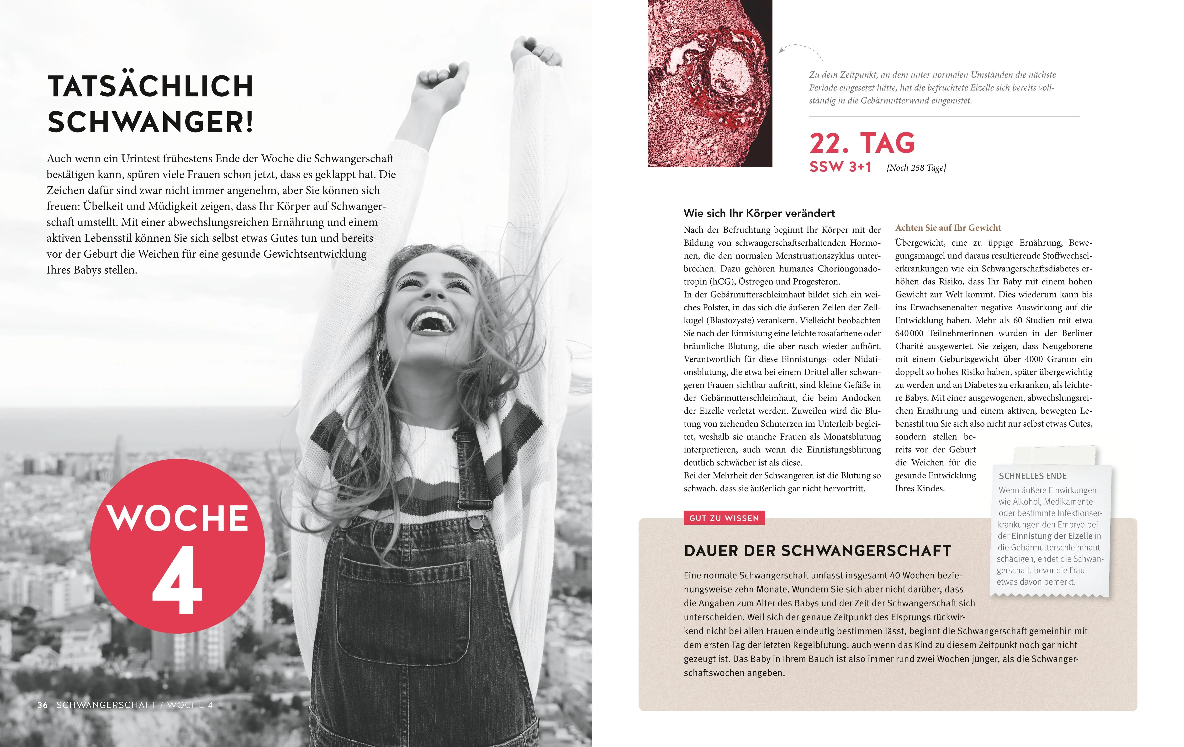 Abbildung von 'Tag für Tag durch meine Schwangerschaft'