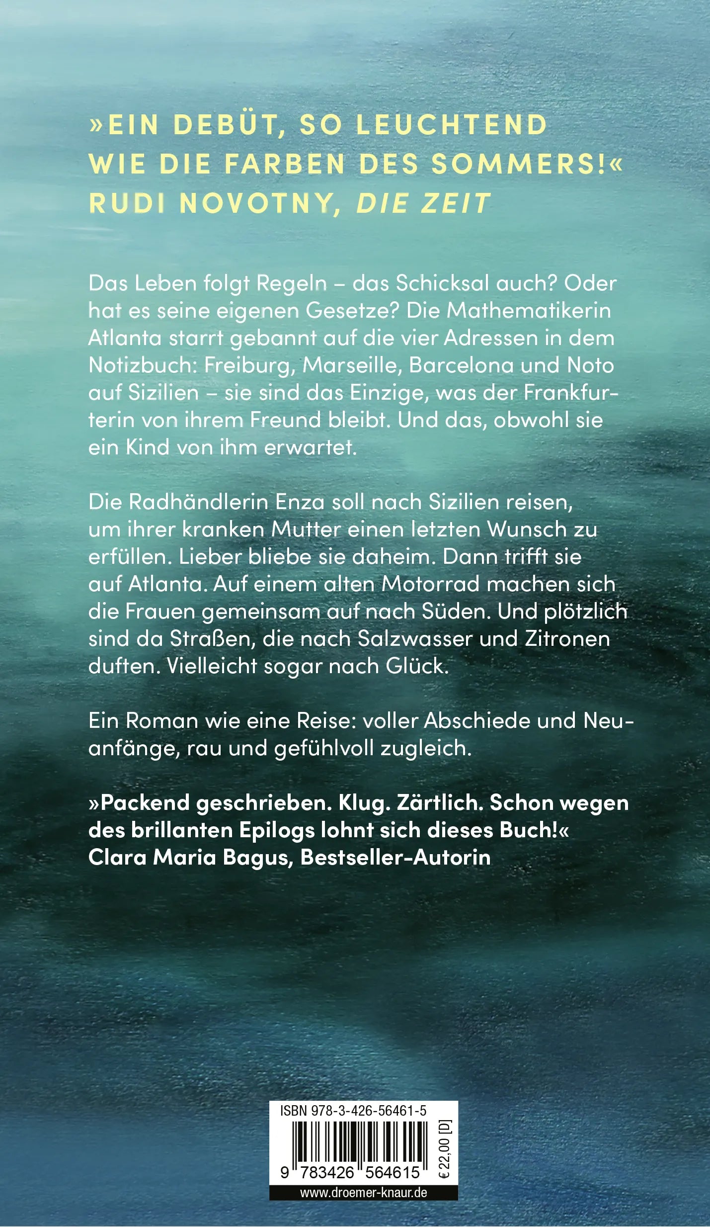 Buchrückseite von 'Tage wie Salzwasser' mit Klappentext - Gebundene Ausgabe
