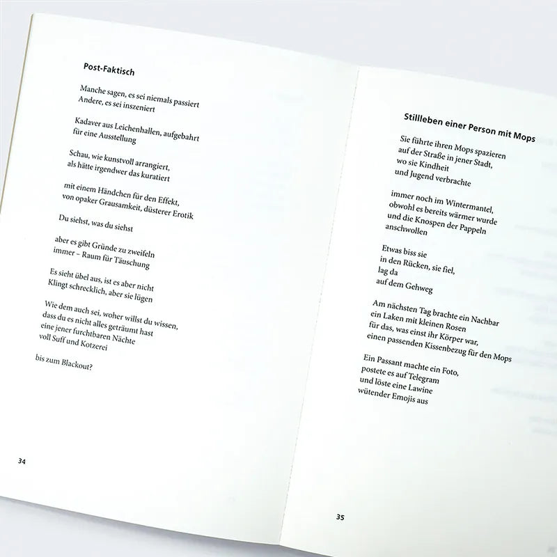 Abbildung von 'Tagebuch einer Invasion'