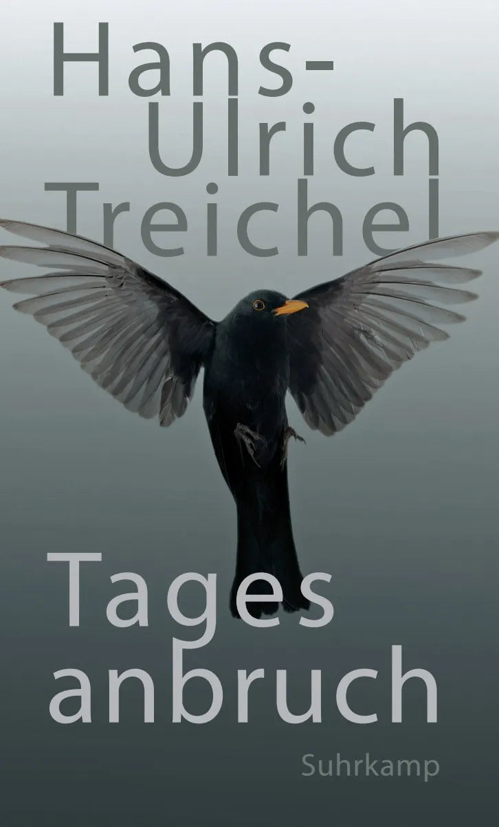 Buchcover von 'Tagesanbruch' - Gebundene Ausgabe von Hans-Ulrich Treichel
