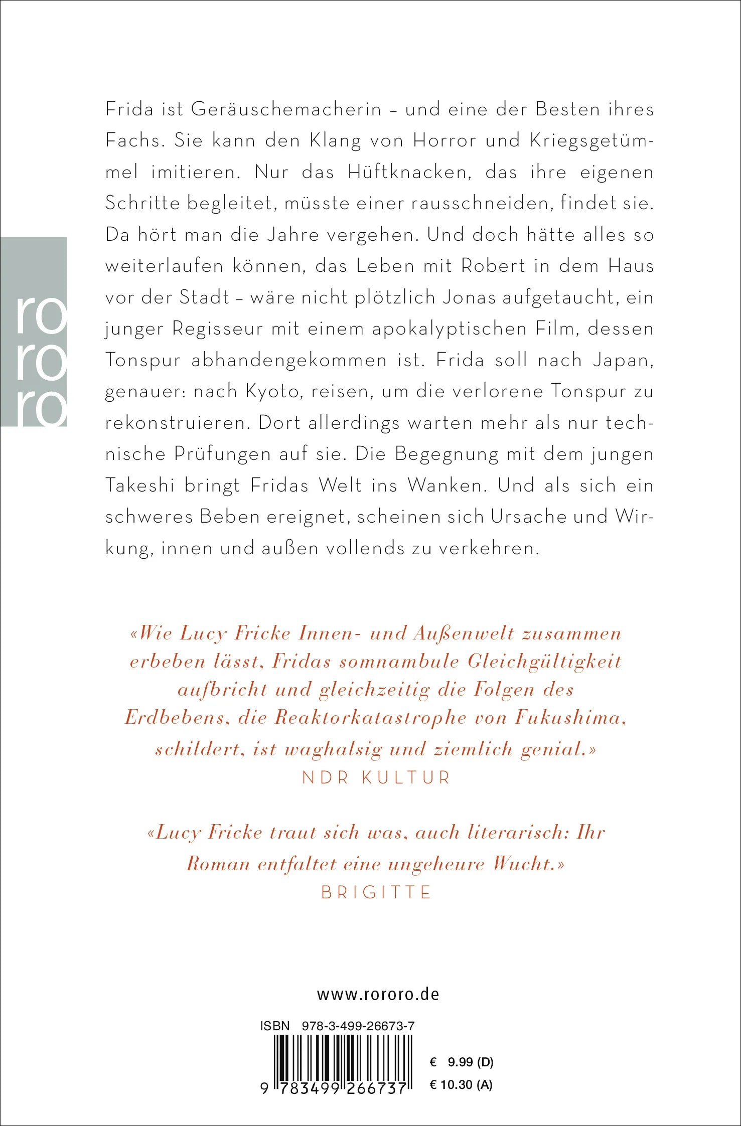 Buchrückseite von 'Takeshis Haut' mit Klappentext - Taschenbuch