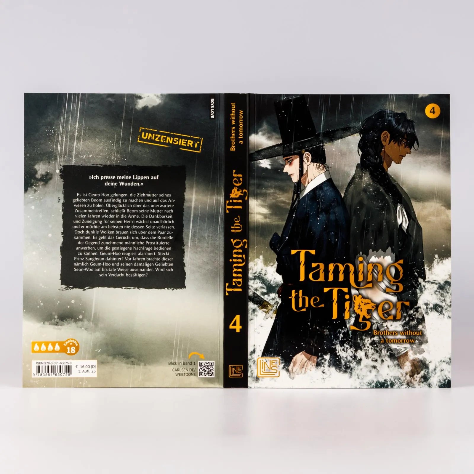 Produktansicht: Taming the Tiger 4 (Taschenbuch)