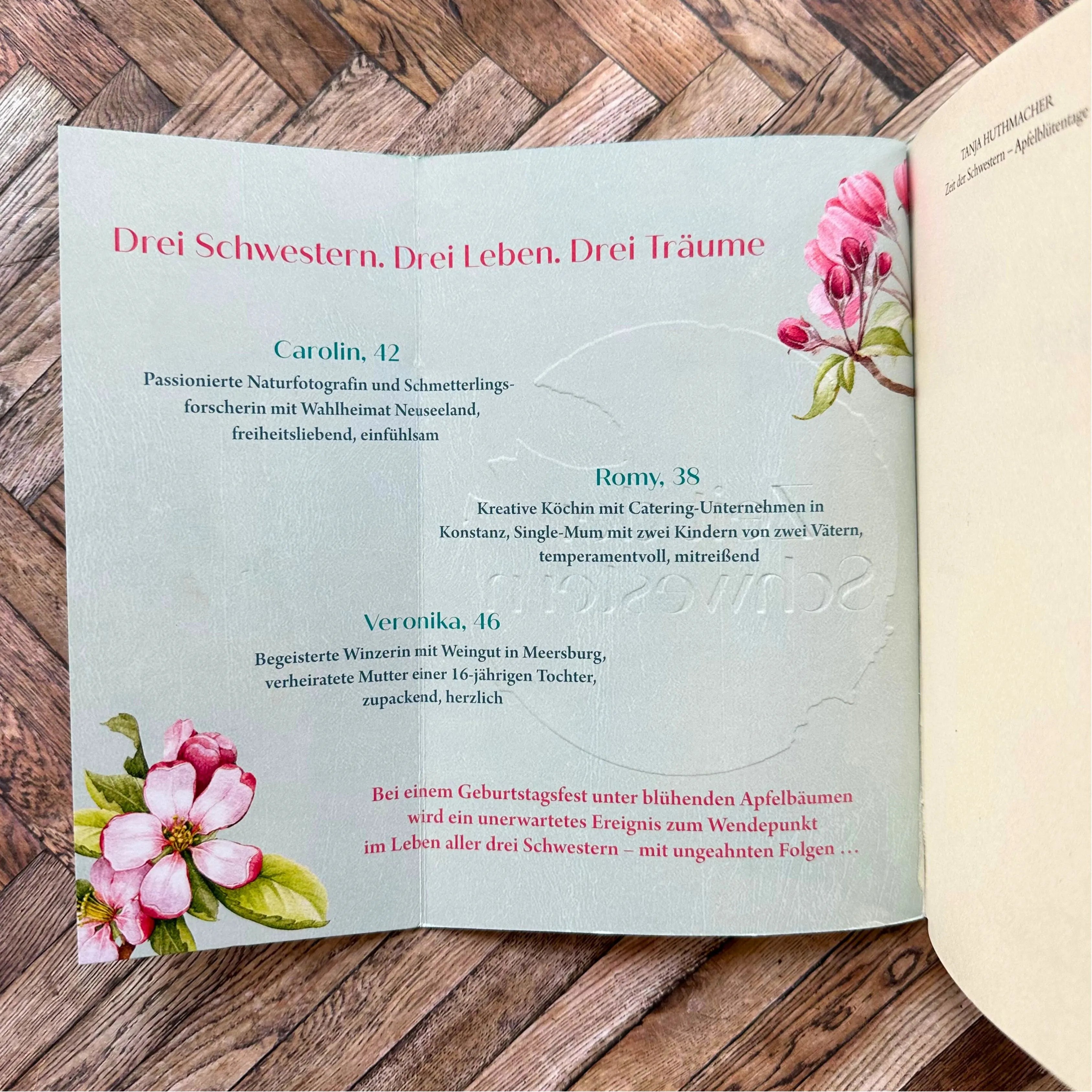 Produktansicht: Zeit der Schwestern (Taschenbuch)